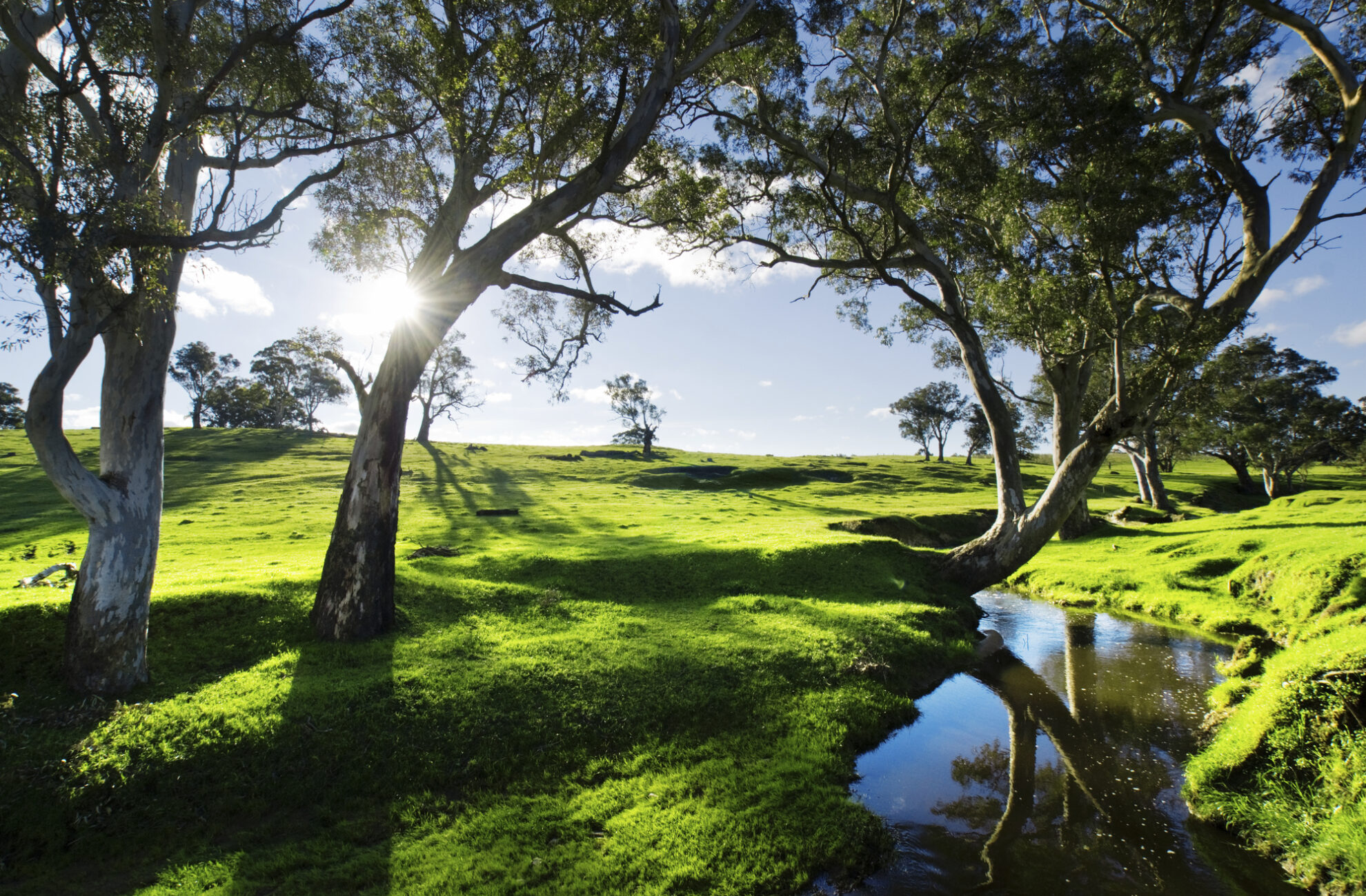 Adelaide Hills, Australien