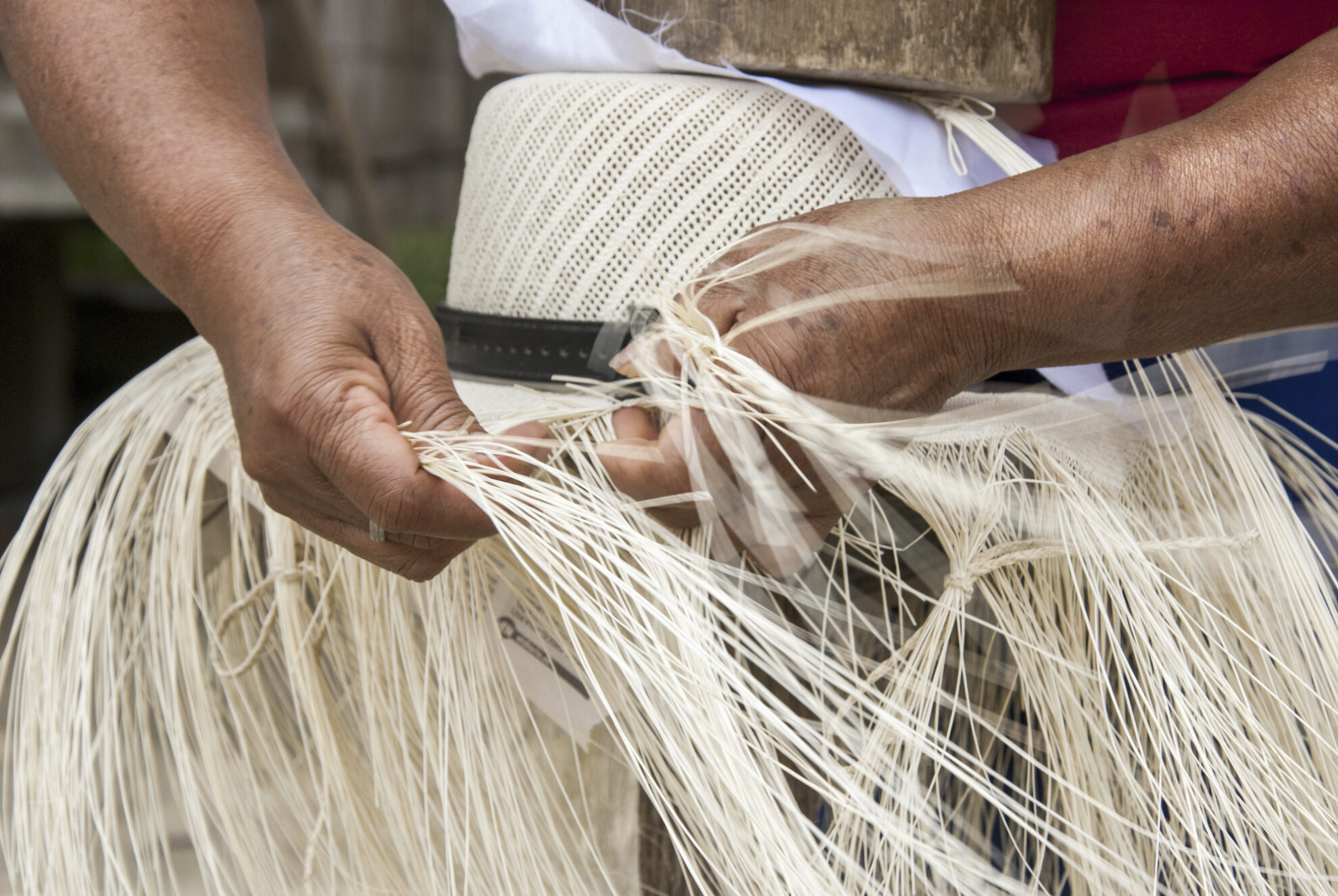 Panama Hut in der Produktion, Ecuador
