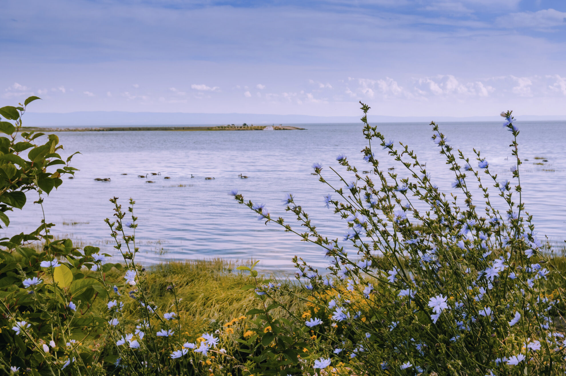 Ufer von Baie-Comeau, Kanada