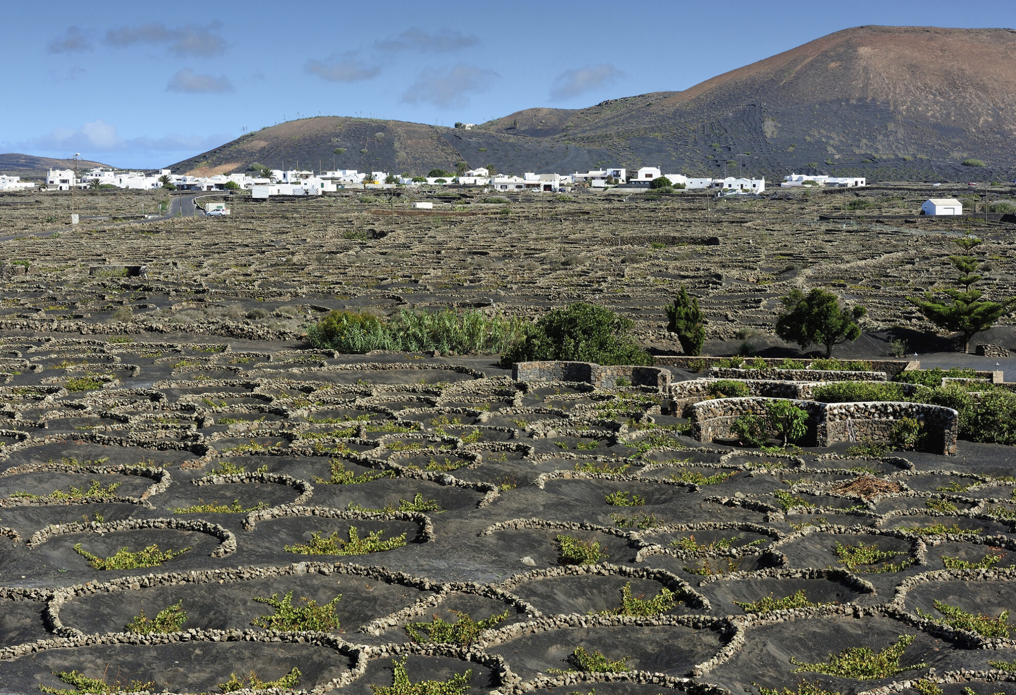 Weinbaugebiet La Geria auf Lanzarote, Spanien
