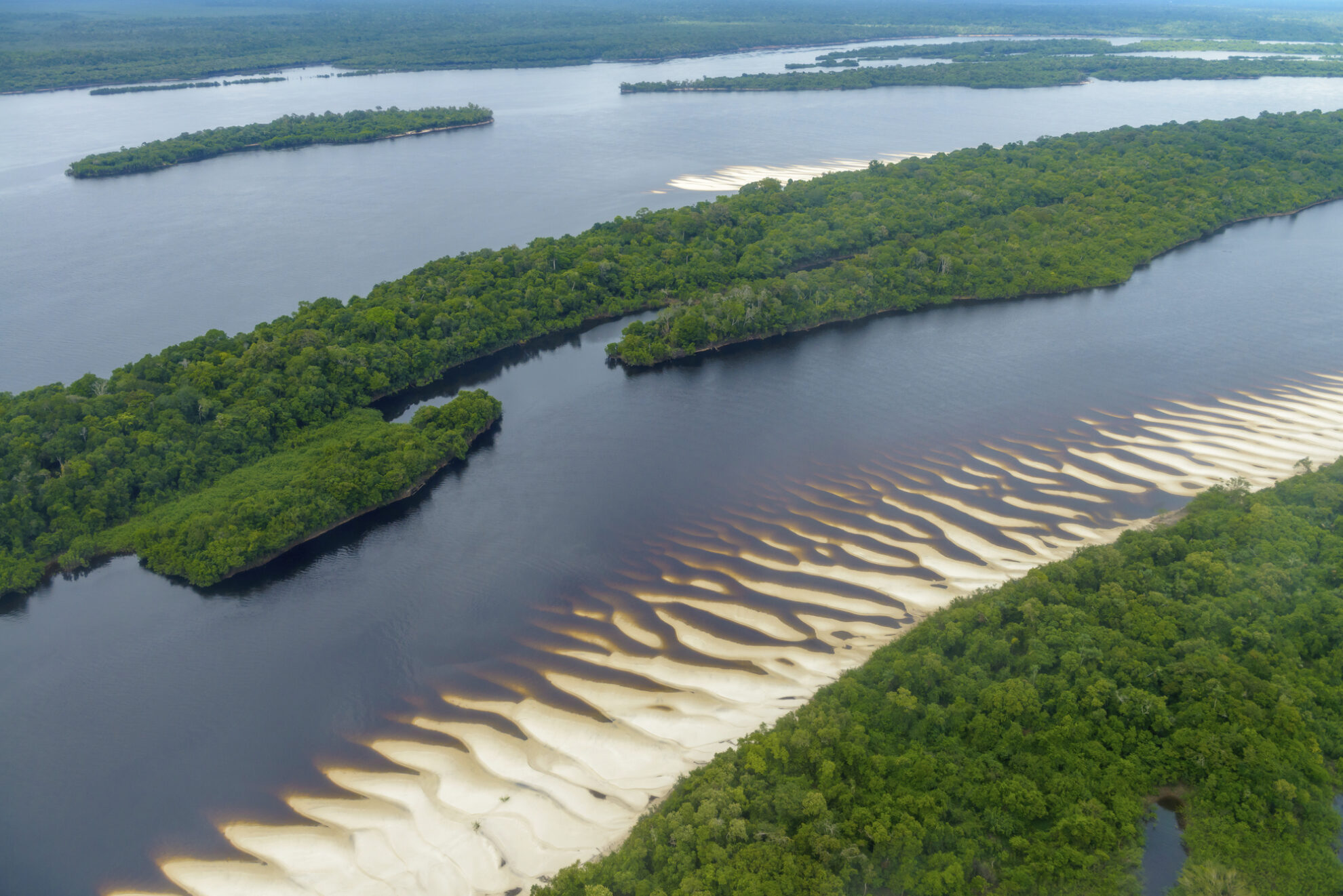 Anavilhanas Nationalpark, Brasilien