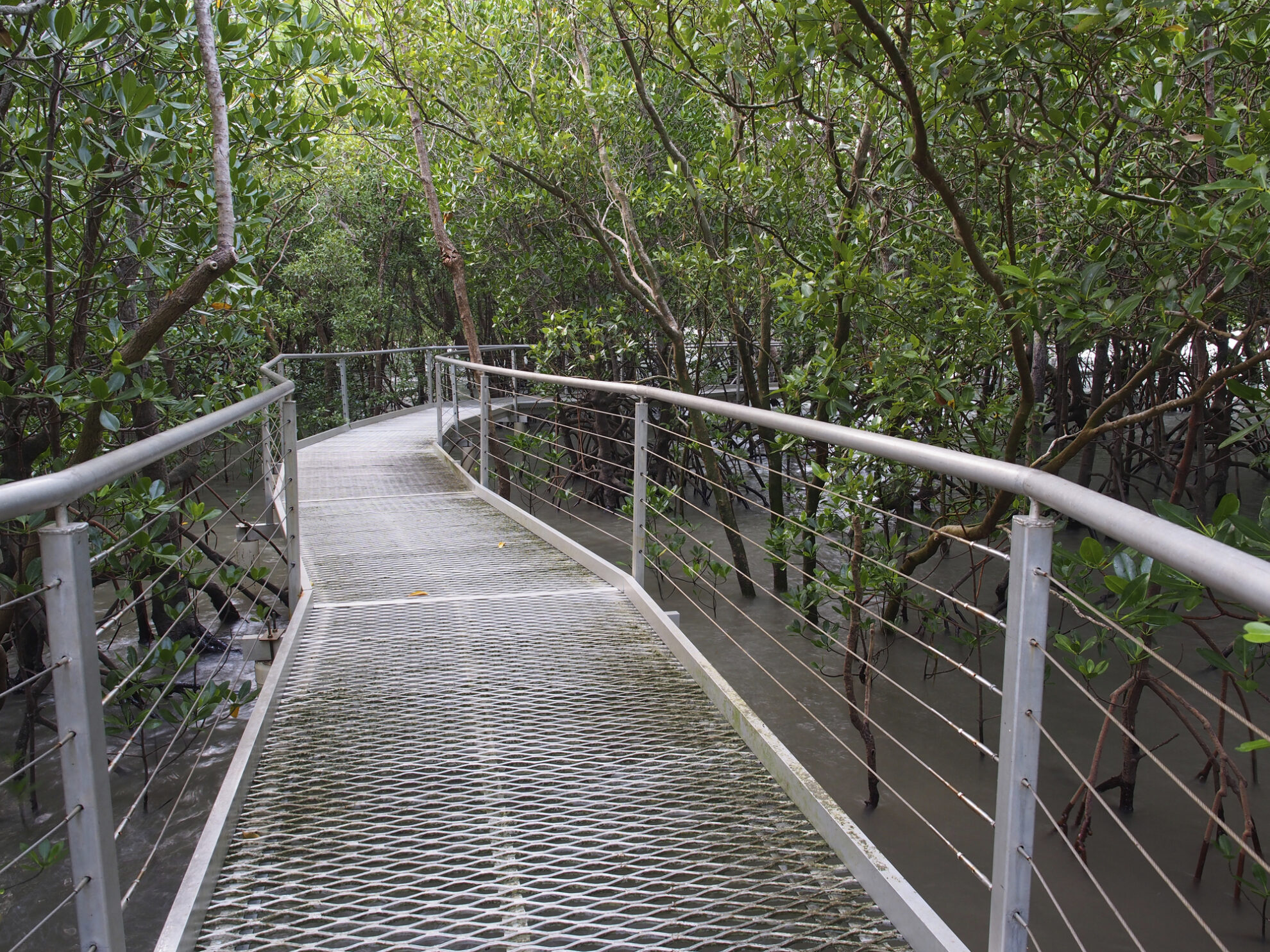 Weg durch den East Point Reserve Nationalpark, Australien