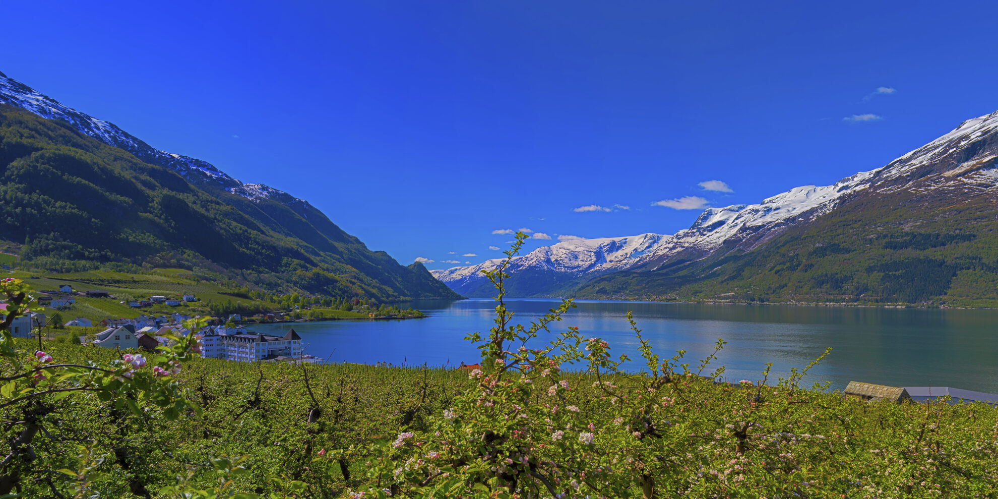Hardangerfjord in Norwegen
