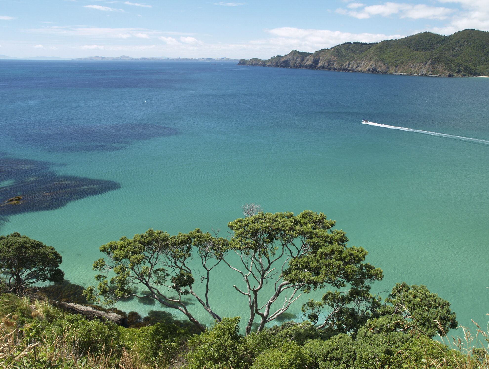 Eine Bucht in der Bay of Islands, Neuseeland