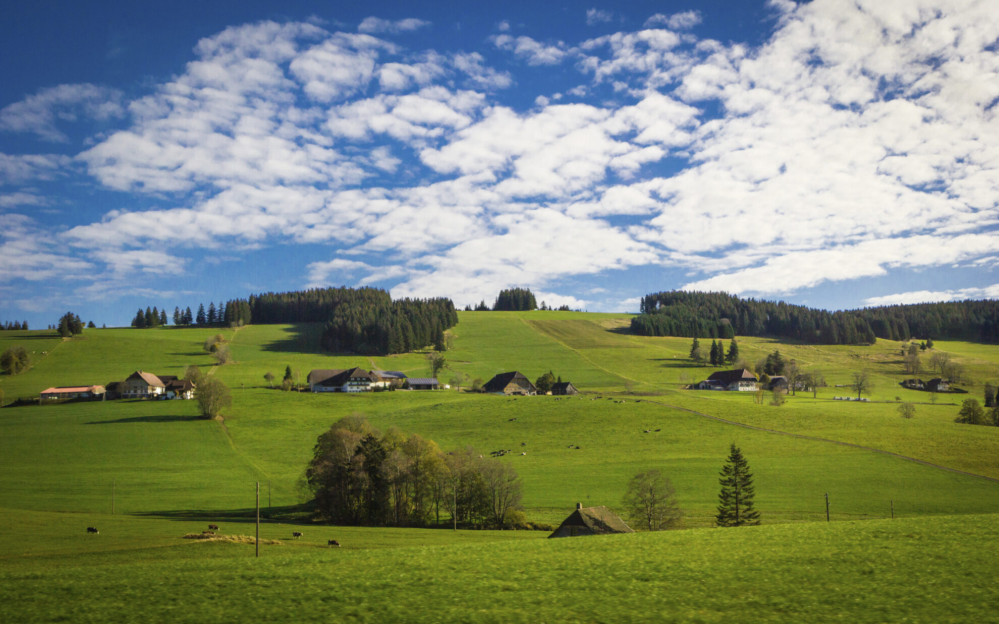 Landschaft bei Breisach, Deutschland