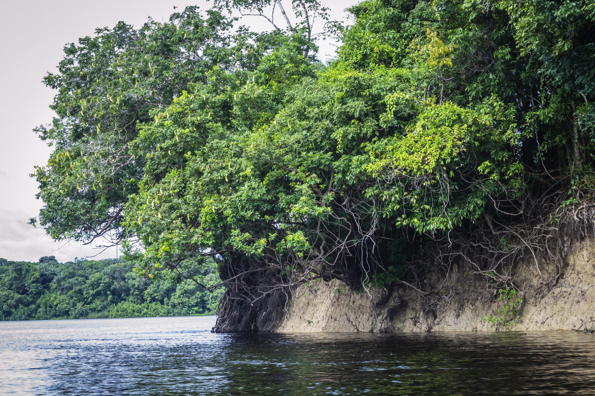 Natur in Airo, Brasilien