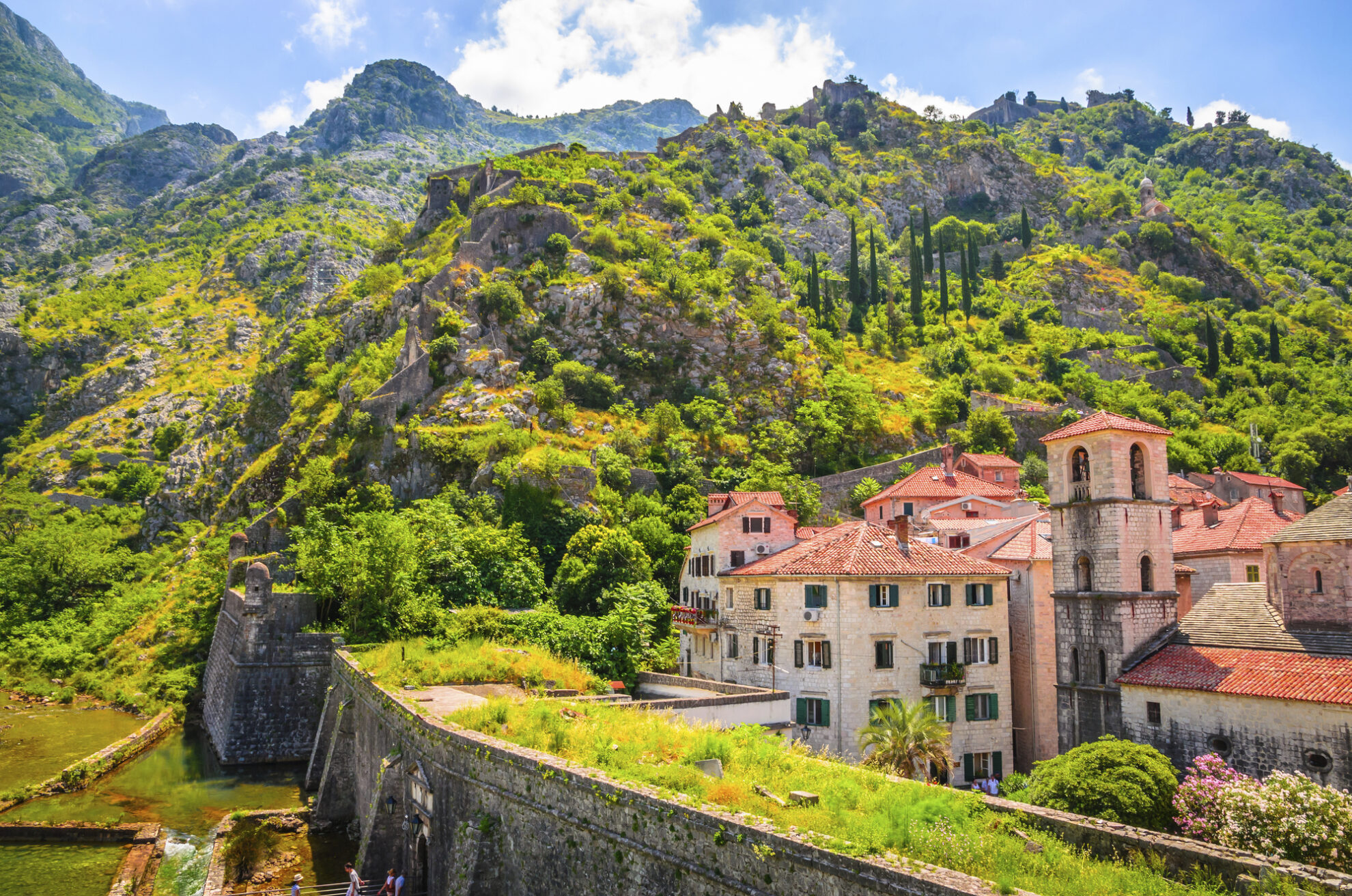 Kotor