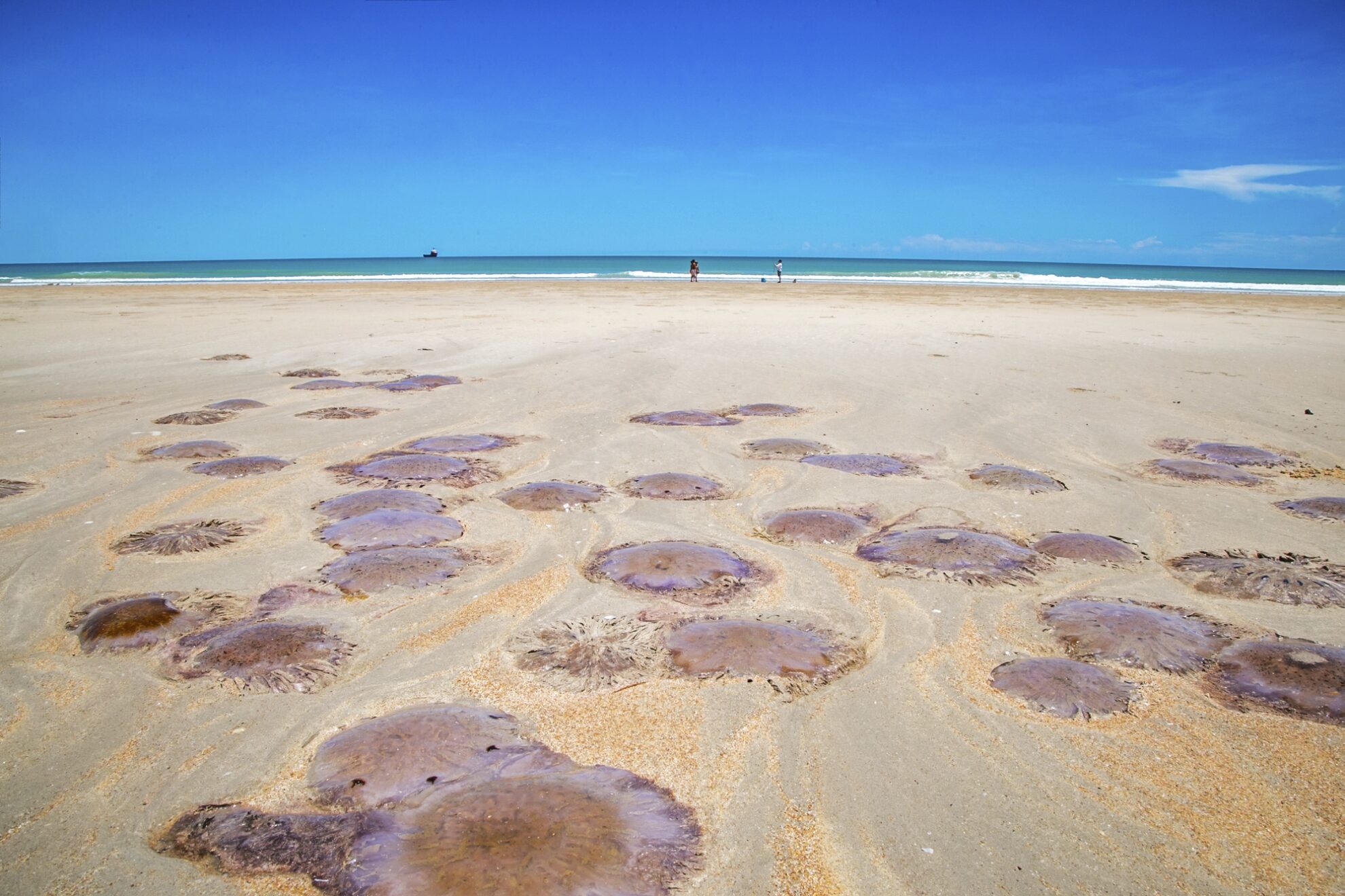 Broome