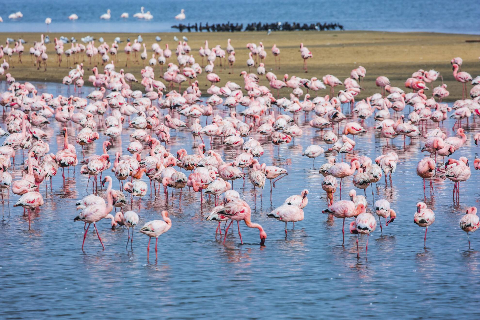 Swakopmund
