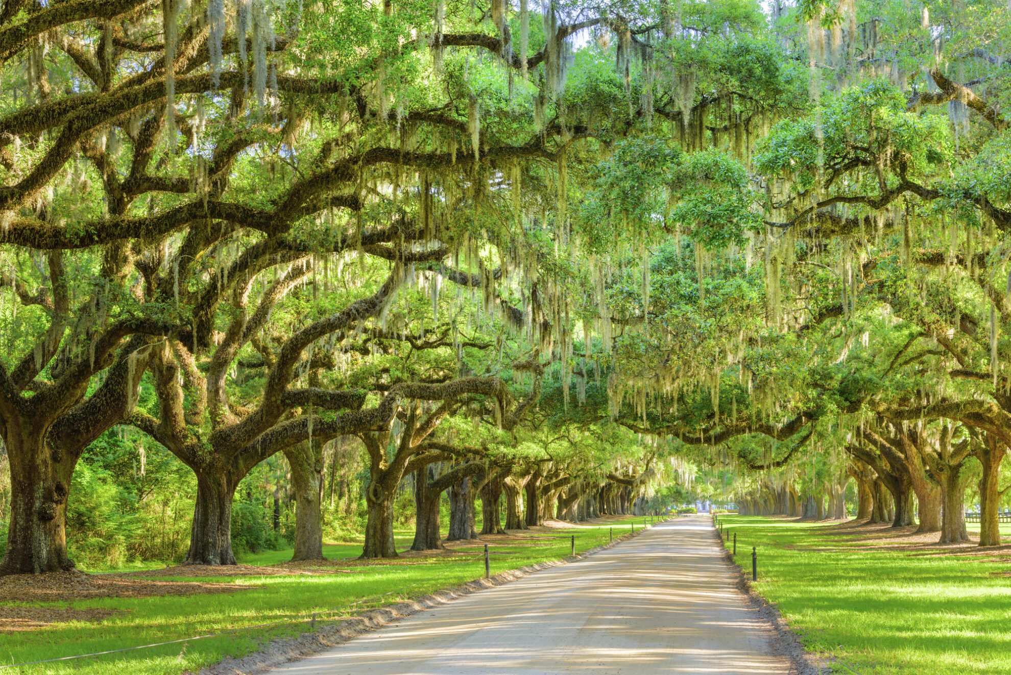 Boon Hall Plantage, USA
