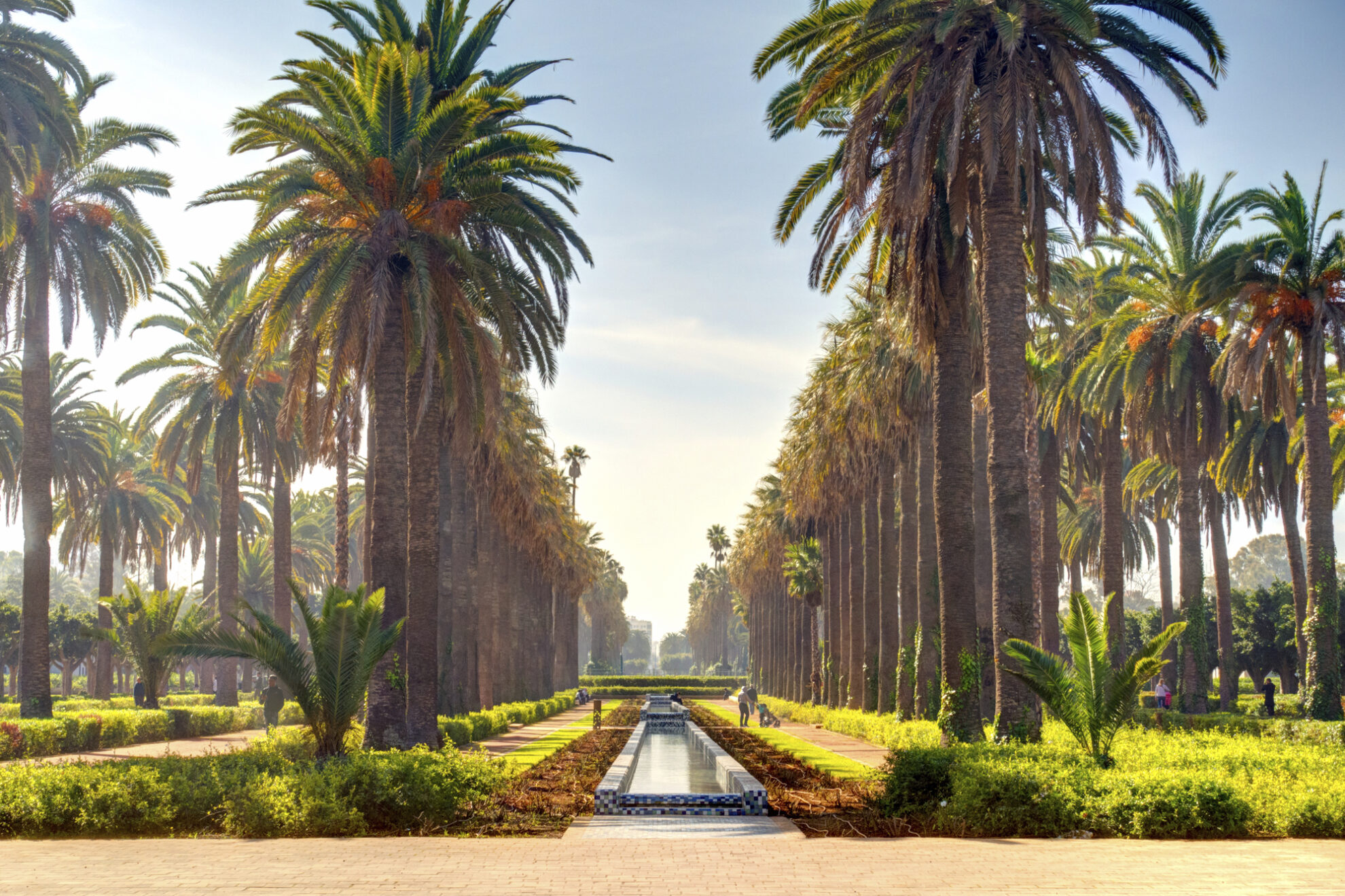 Casablanca
