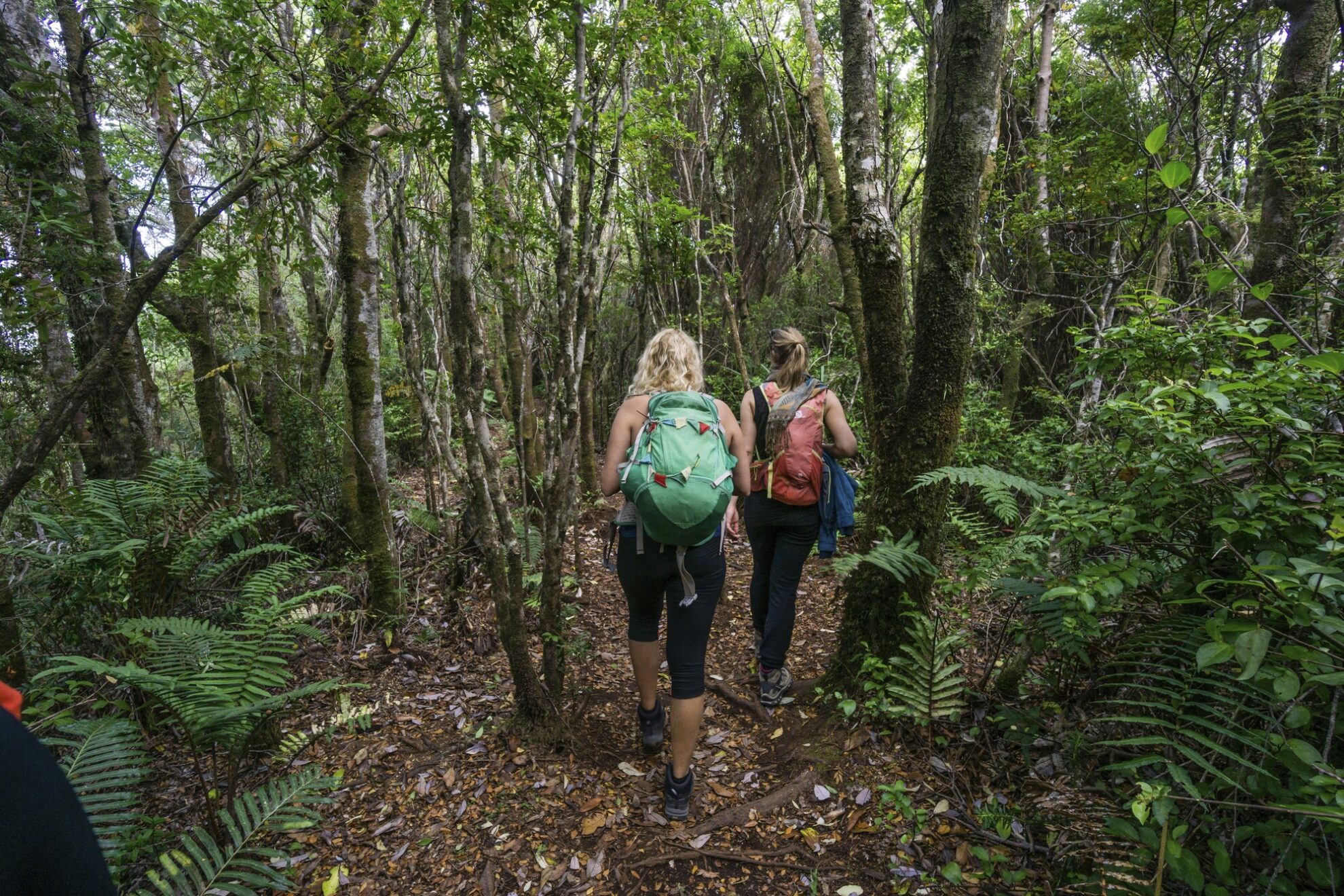 Chiloe Nationalpark