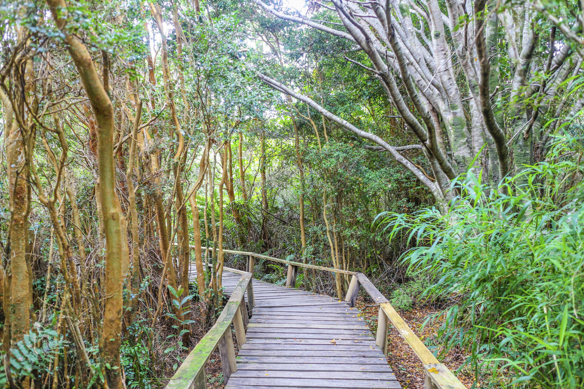 Chiloe Nationalpark