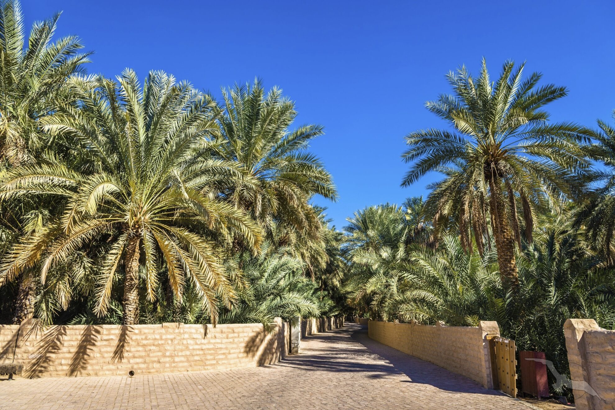 Abu Dhabi, Oase Al Ain
