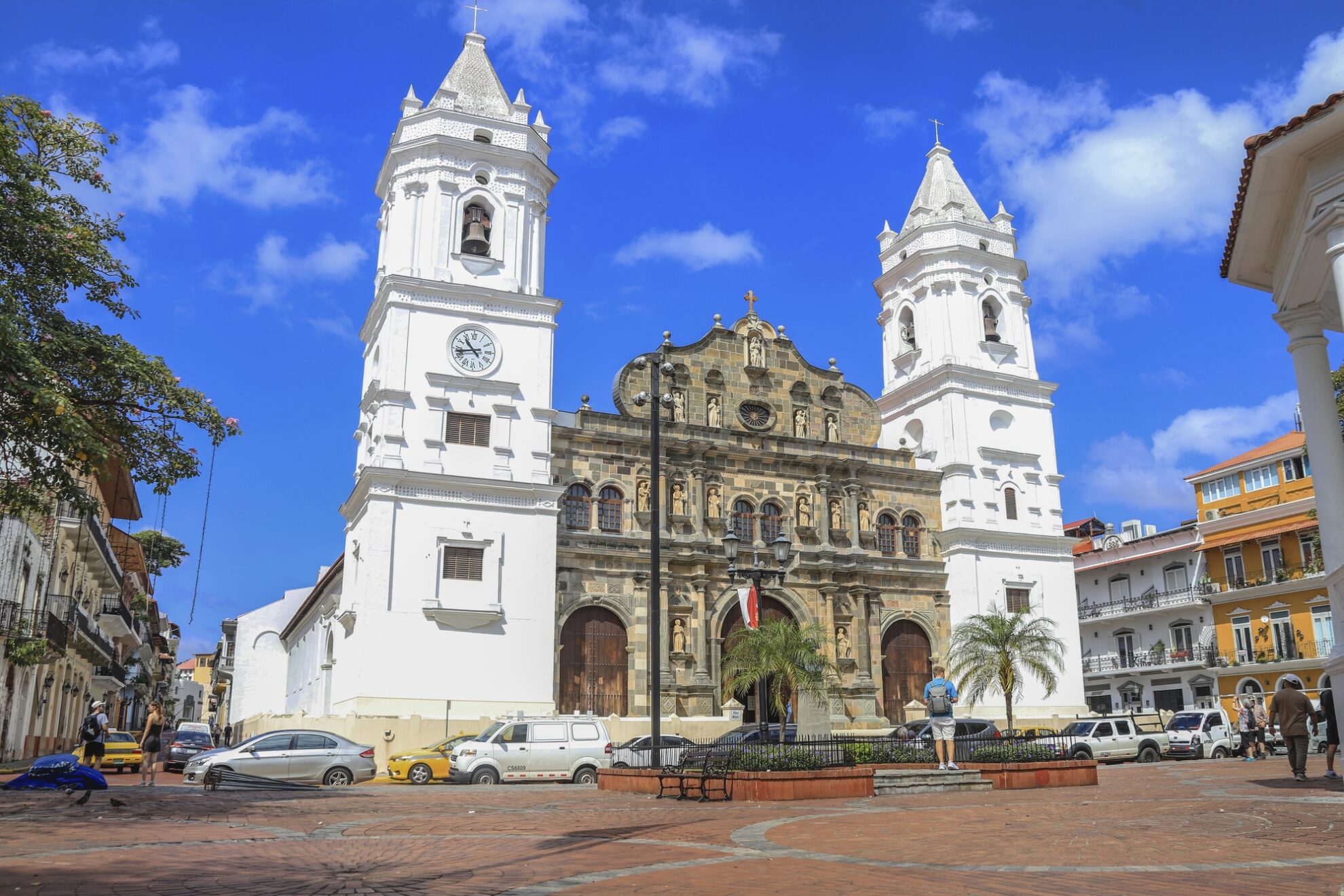 Colon