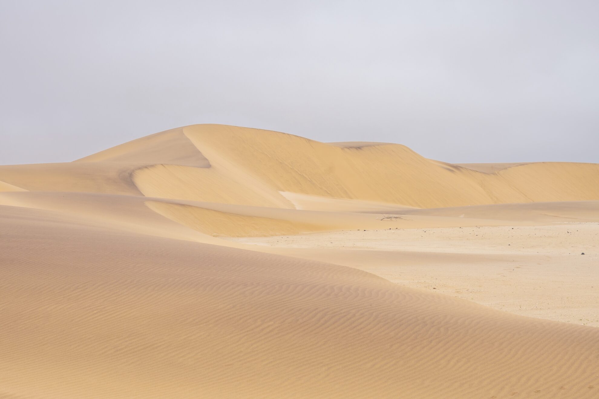 Namib Wüste