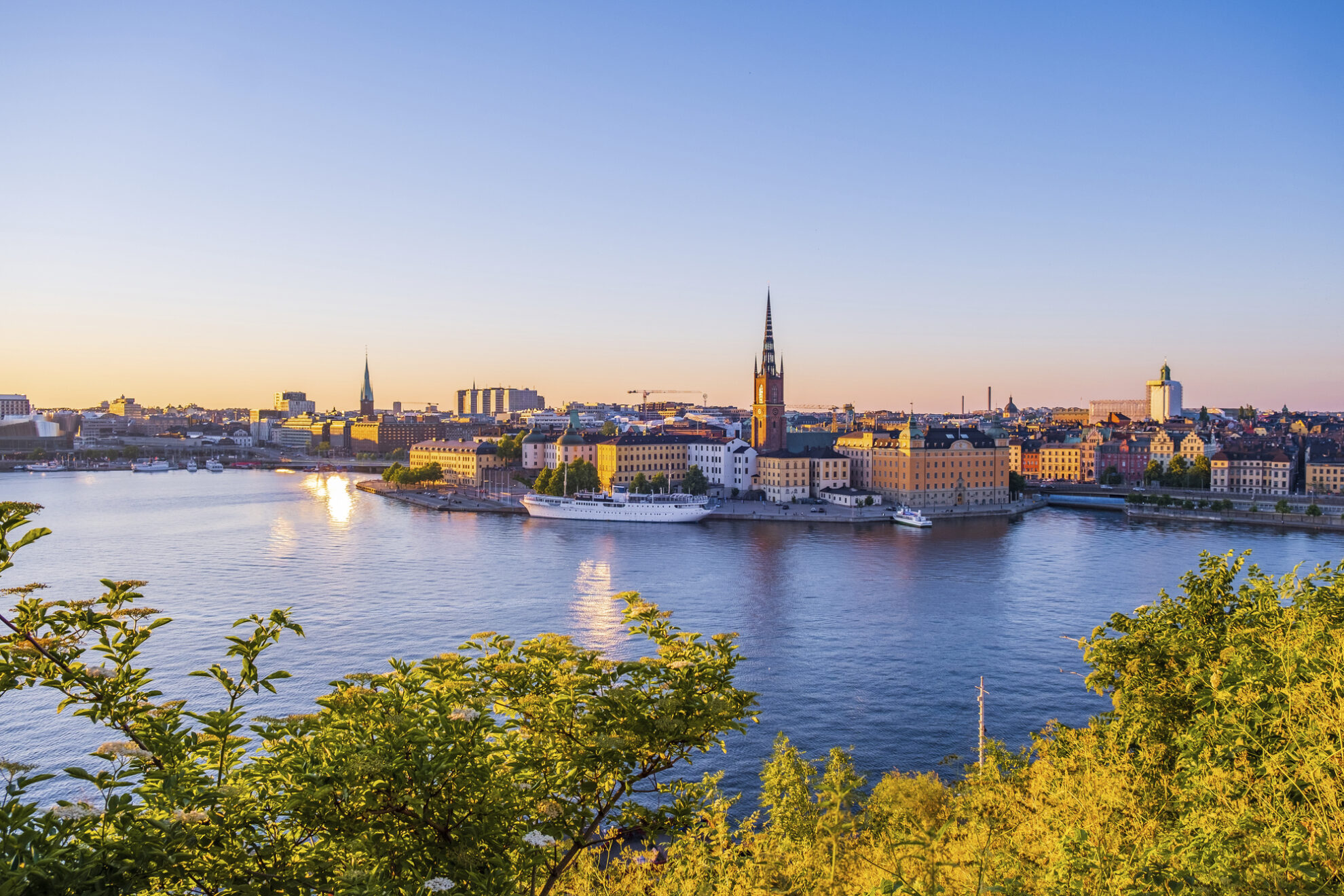 3785977 3785977 V1 P0