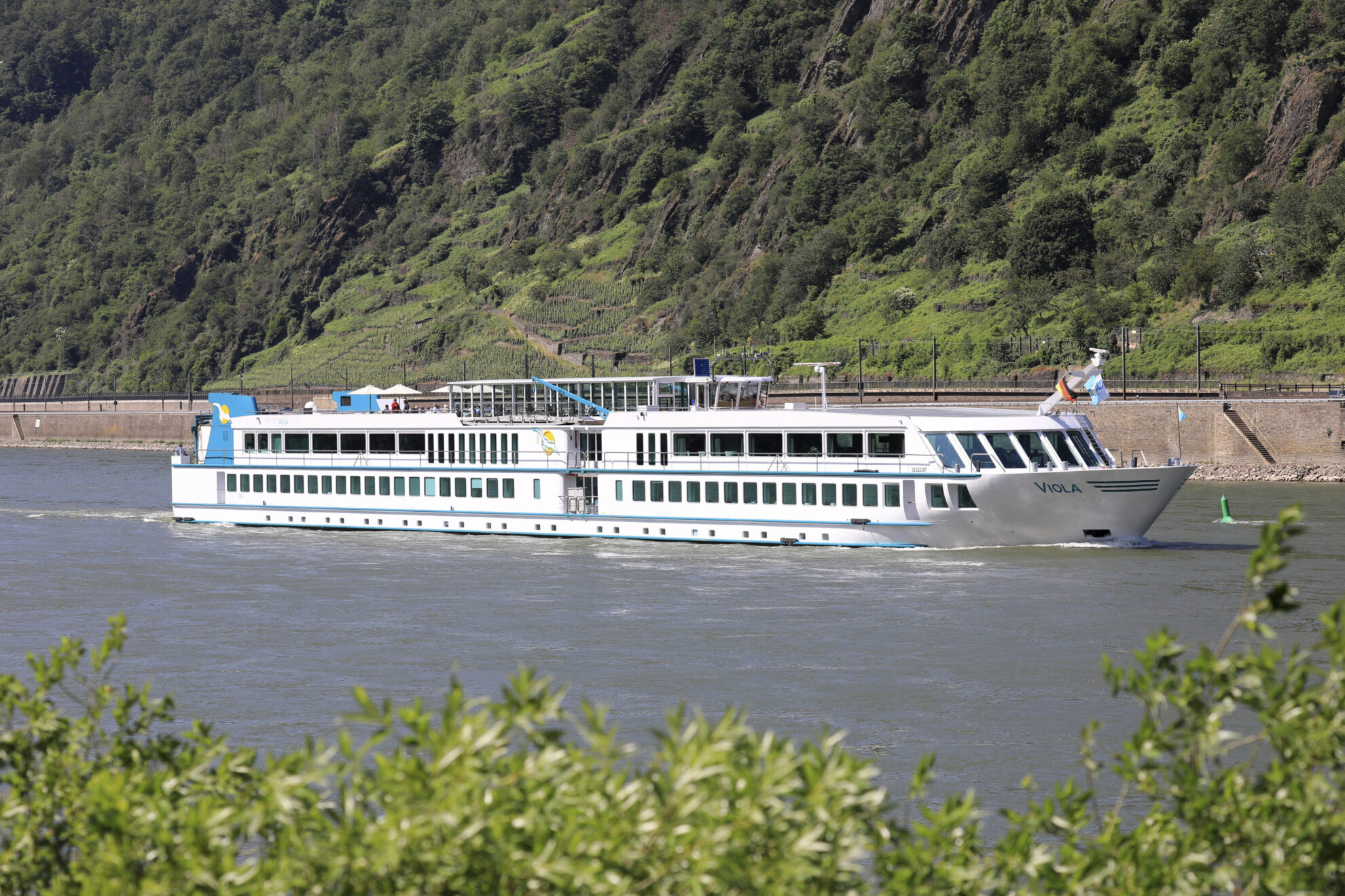phx asmussen vio aussen ms viola bei hirzenach 07 06 2019 8jpg 3684387