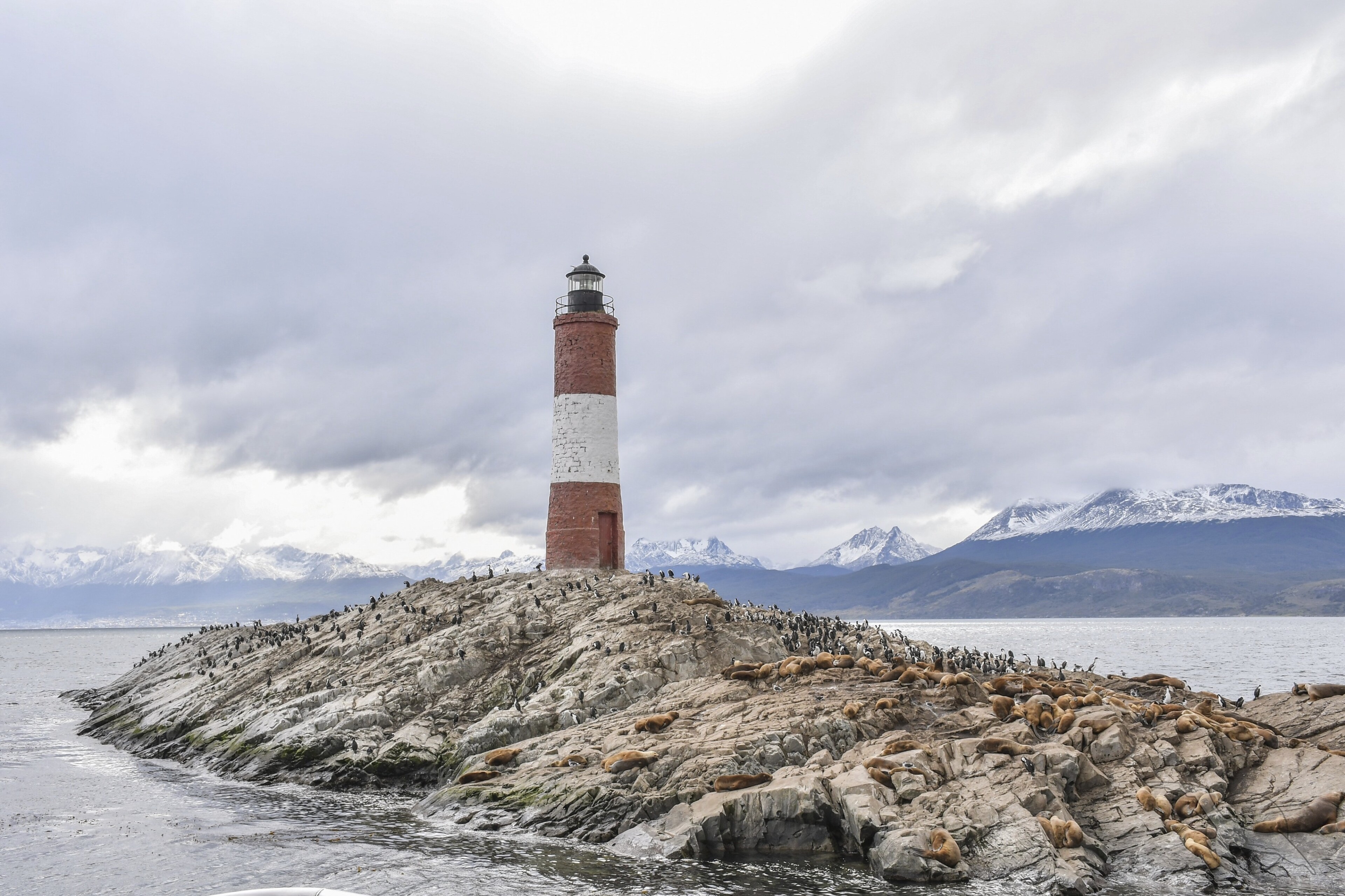 Ushuaia, Pinguinkolonie