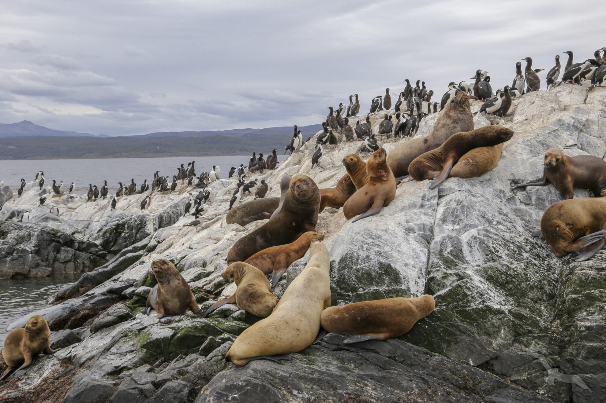 Ushuaia