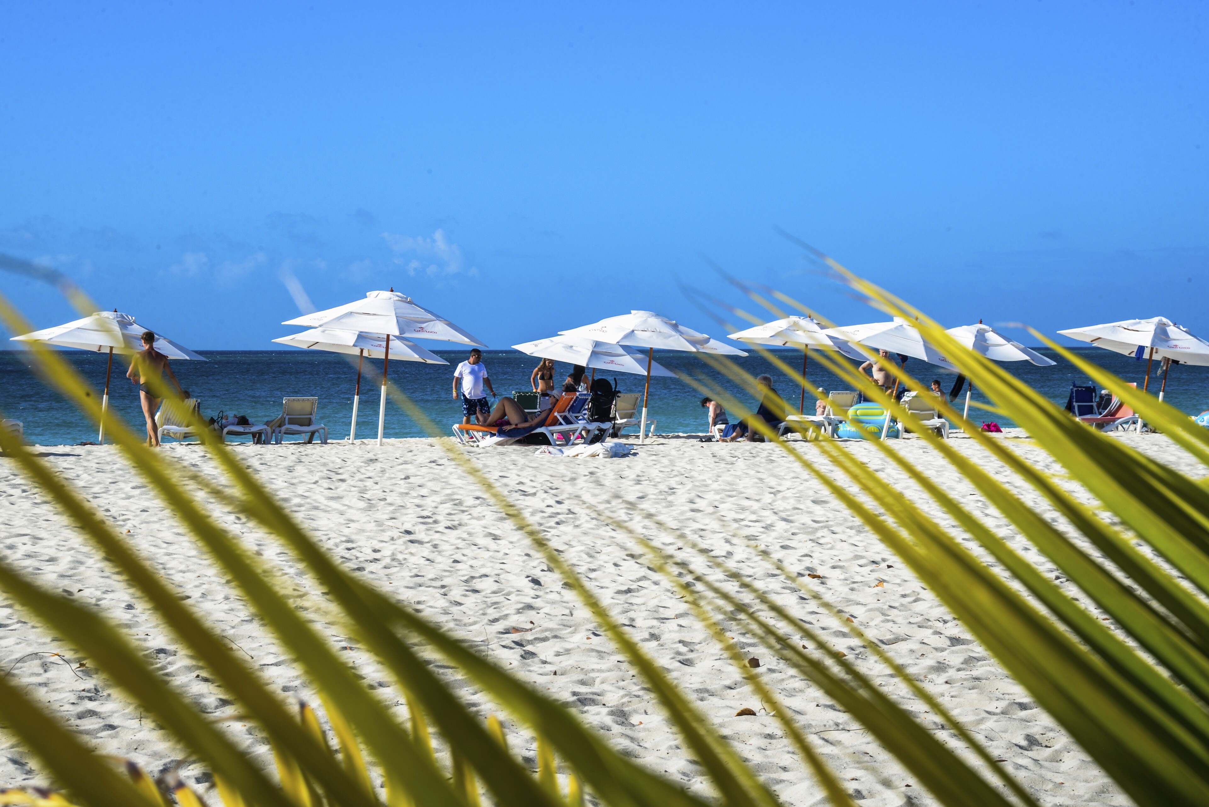 Aruba, Oranjestad