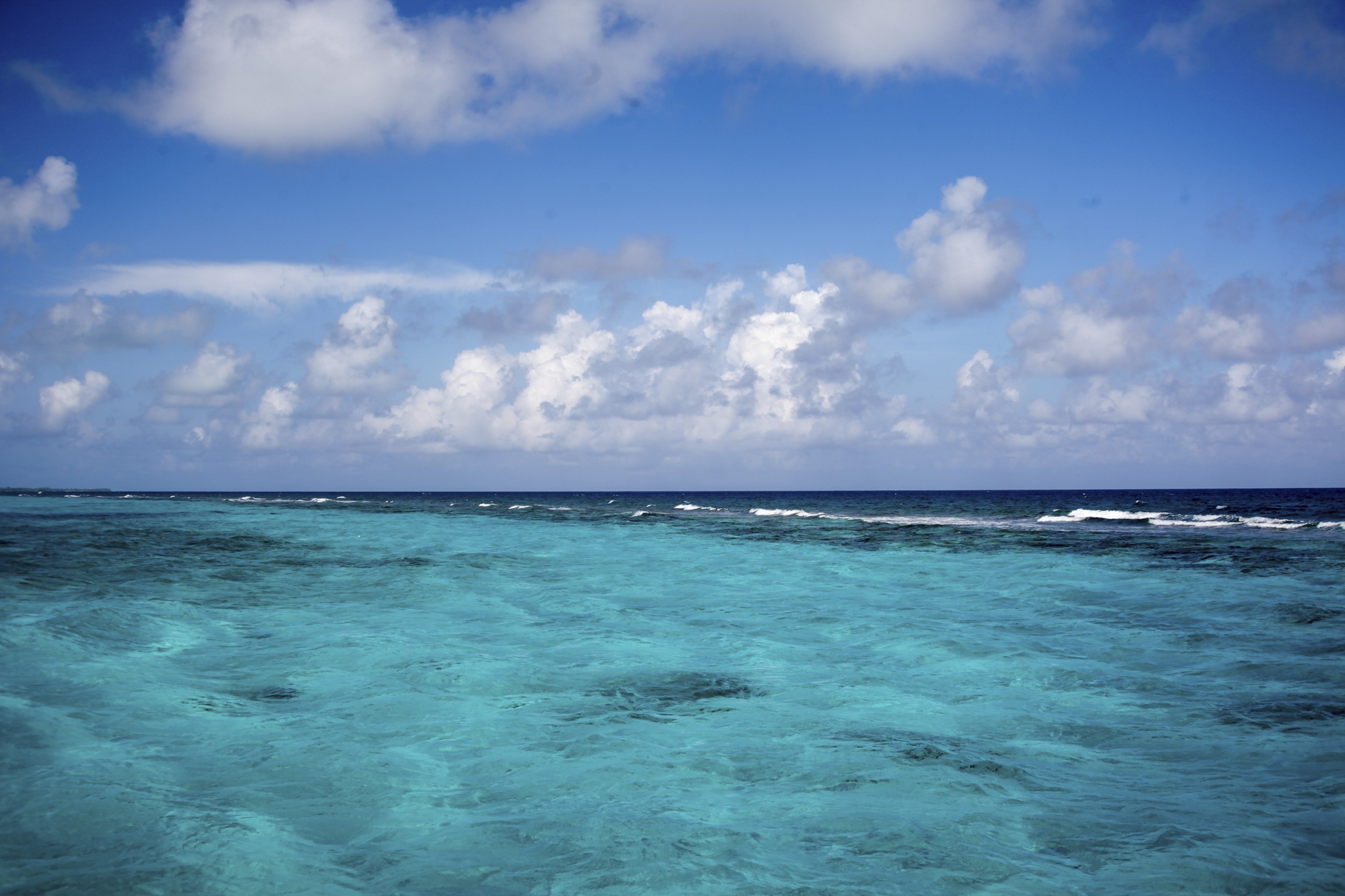 phx krainz cayman islands george town impressionen rs49278 2023 avi 12jpg 3731462