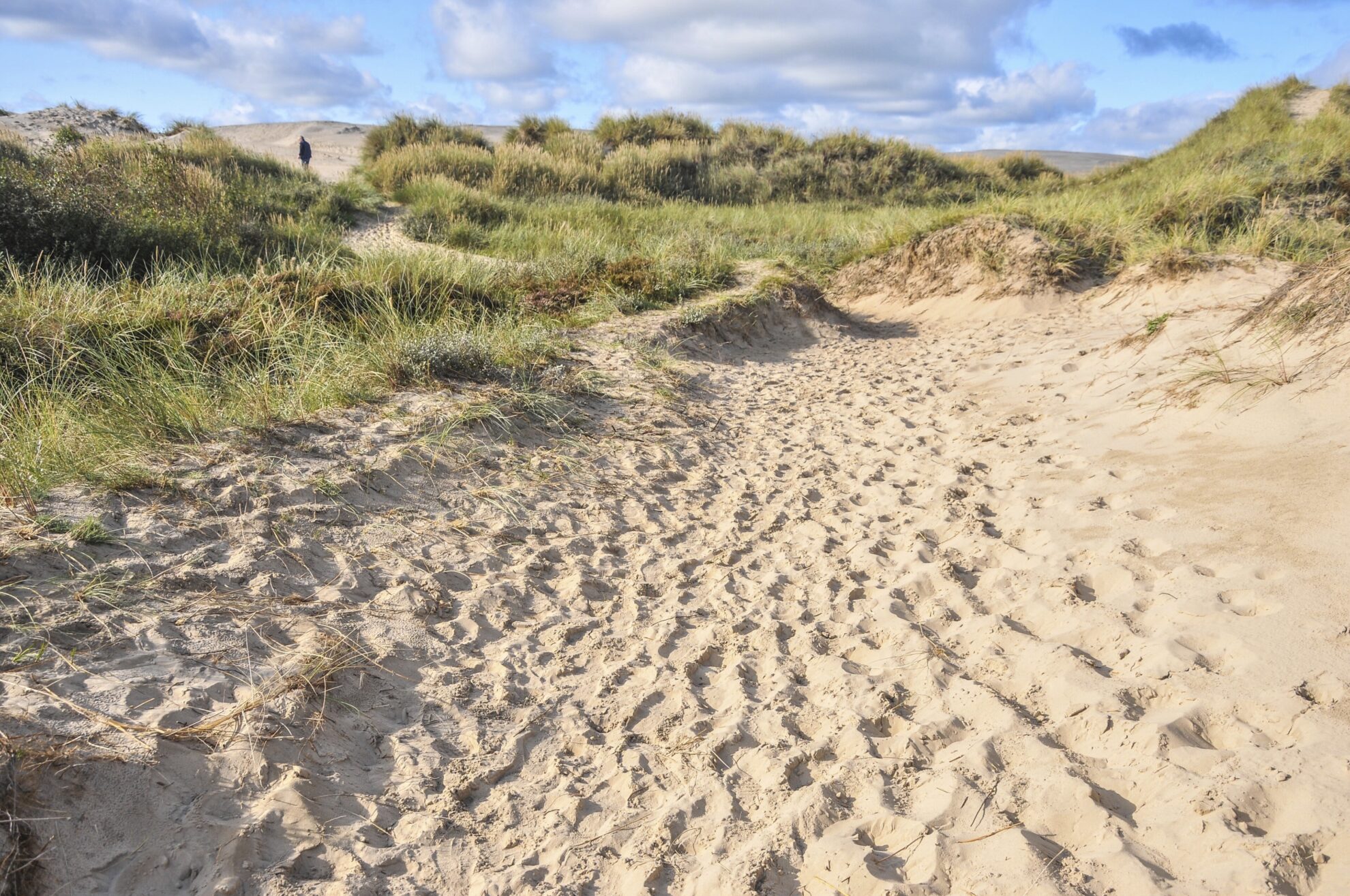 Skagen