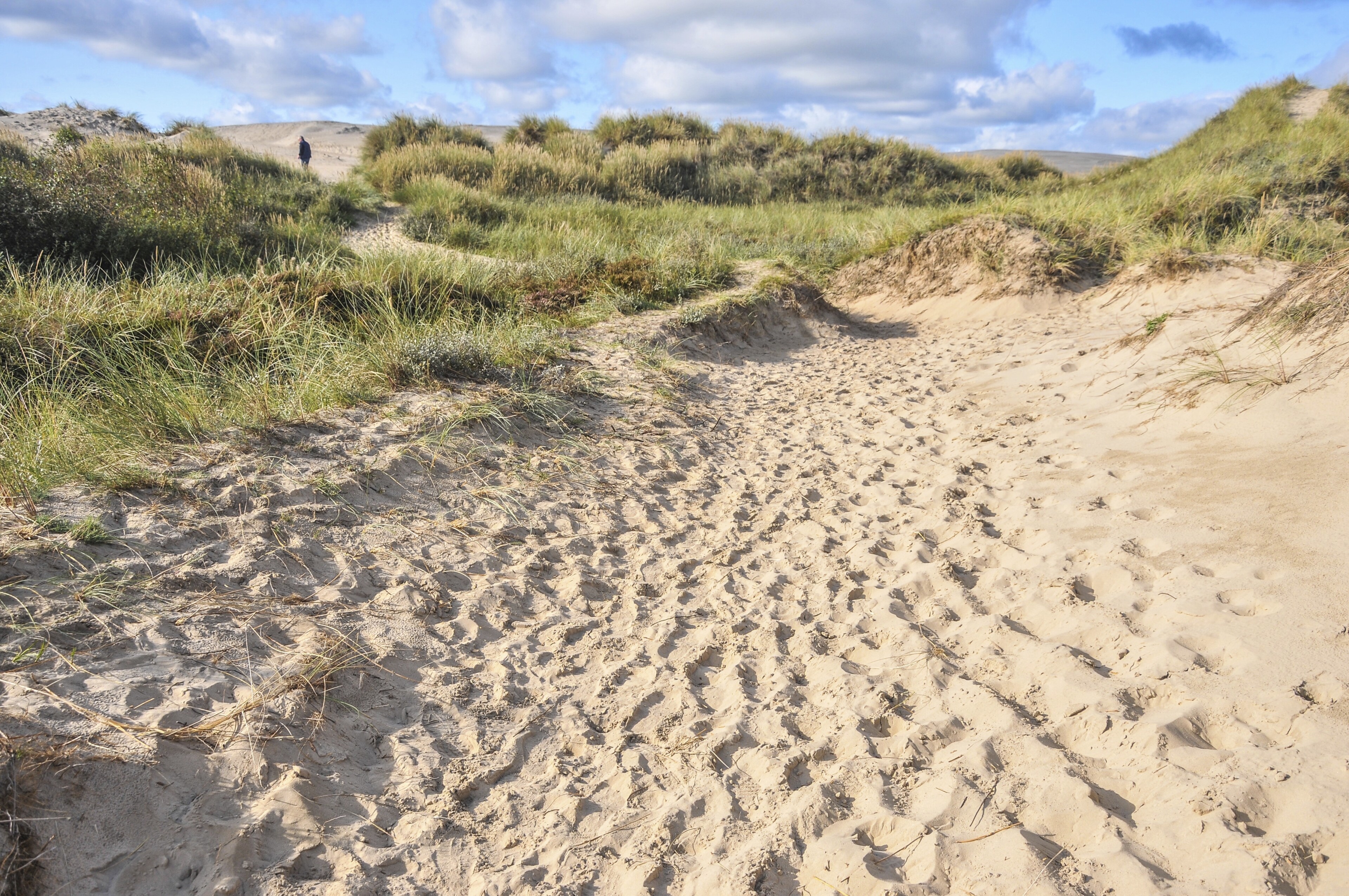 Skagen