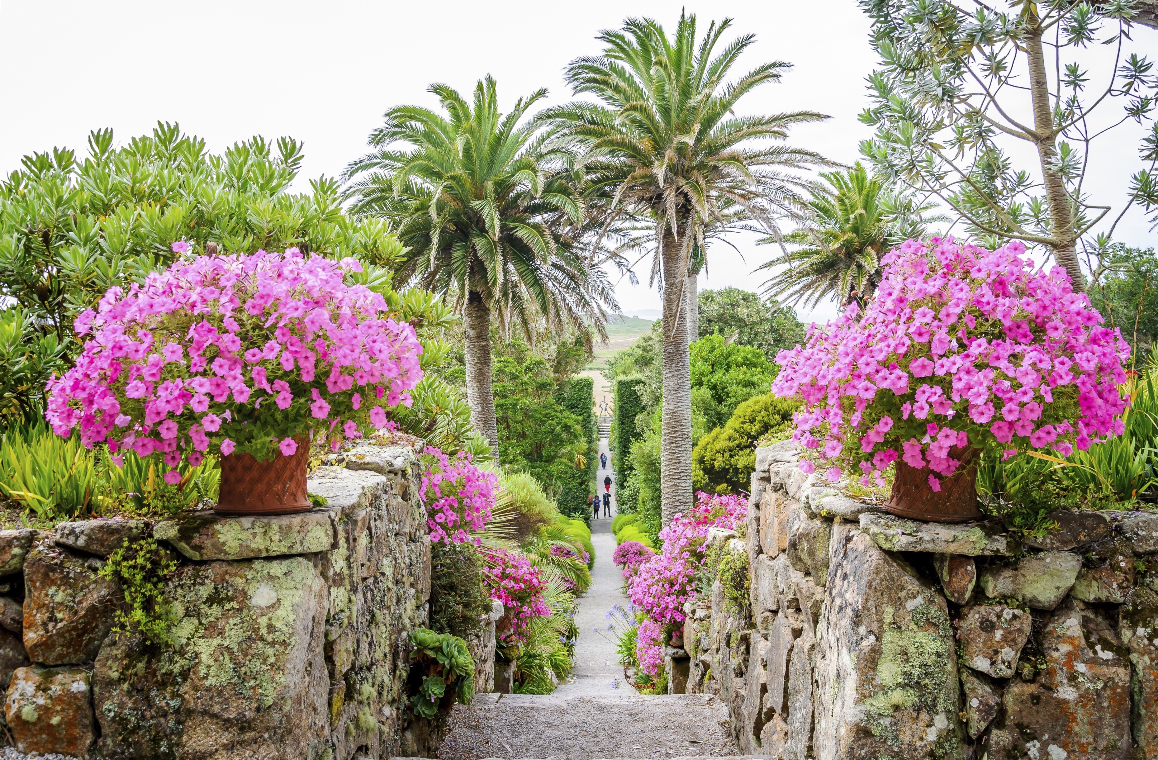 Scilly Inseln, Tresco