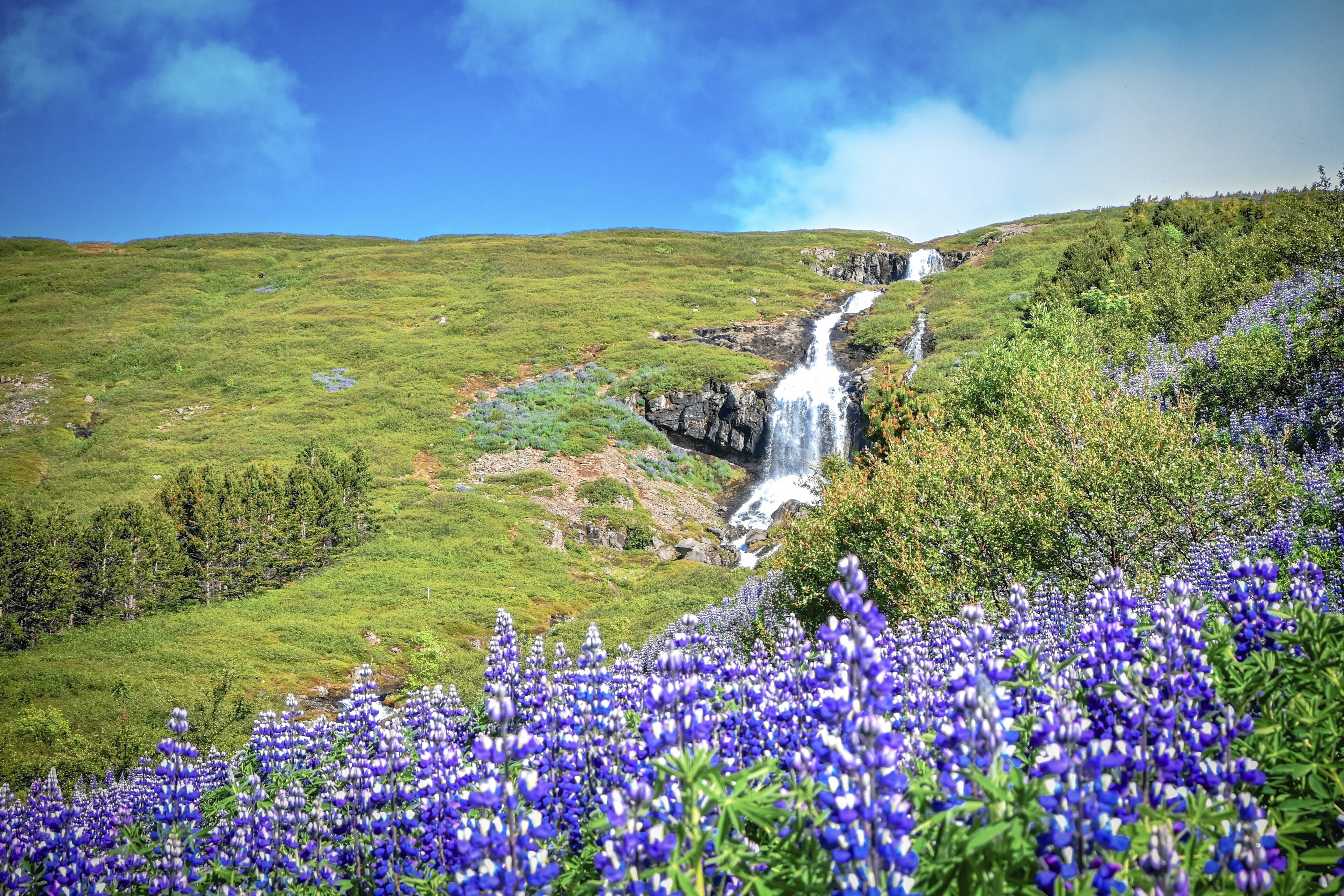 Isafjordur