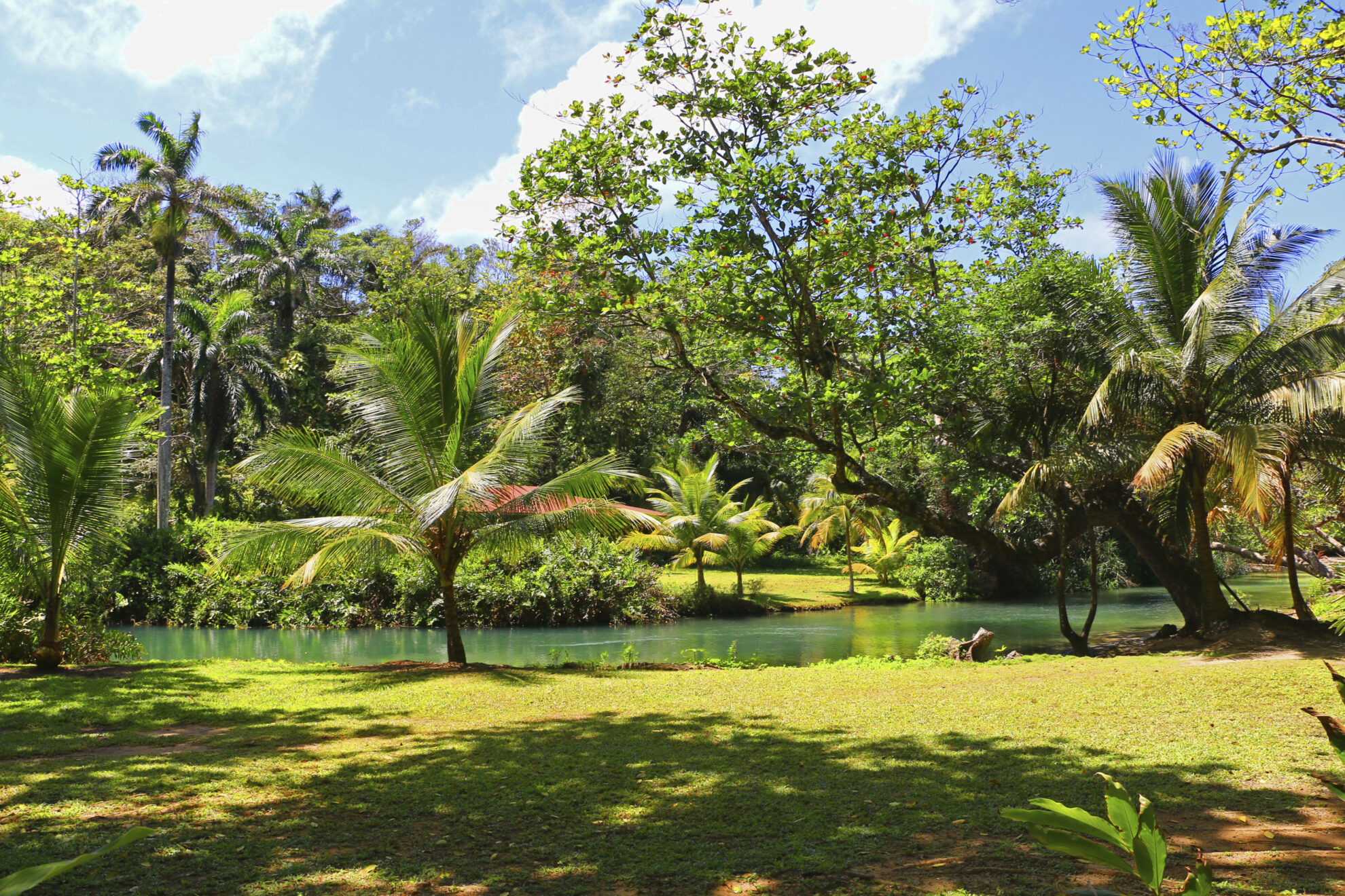 phx krainz jamaika wald fluss 2017 03 29 ocho rios img 0786jpg 3660561