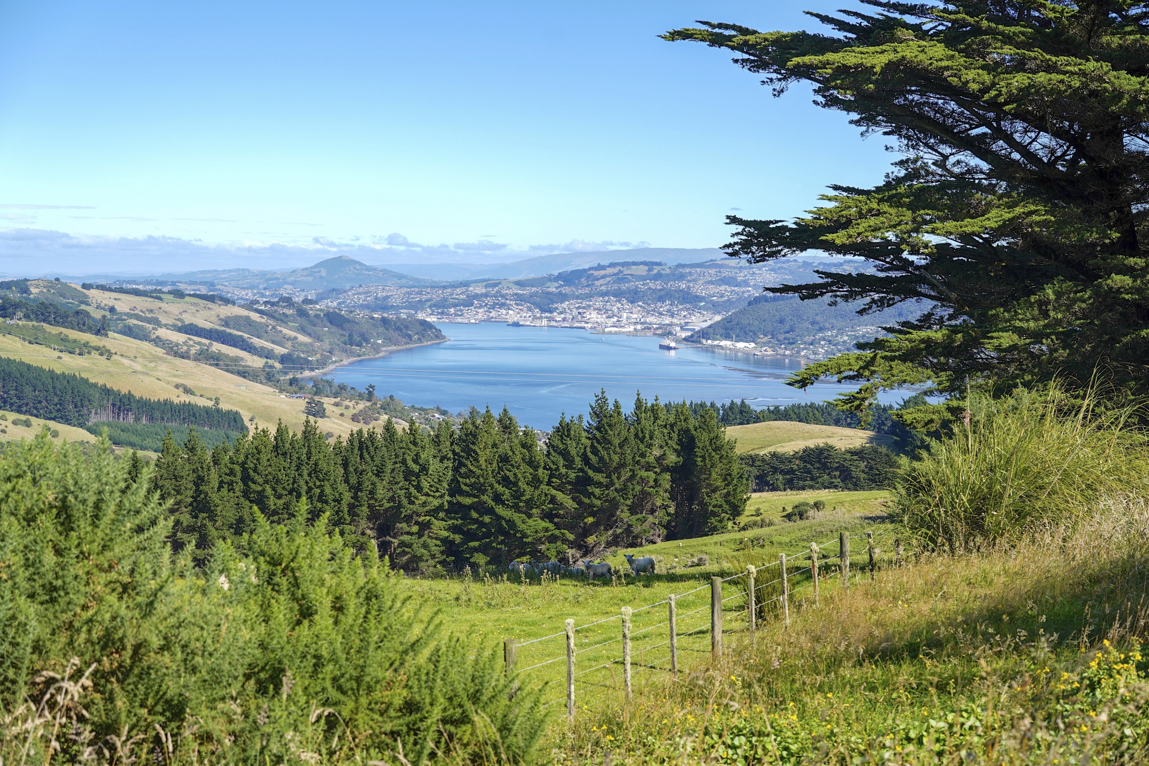 Port Chalmers