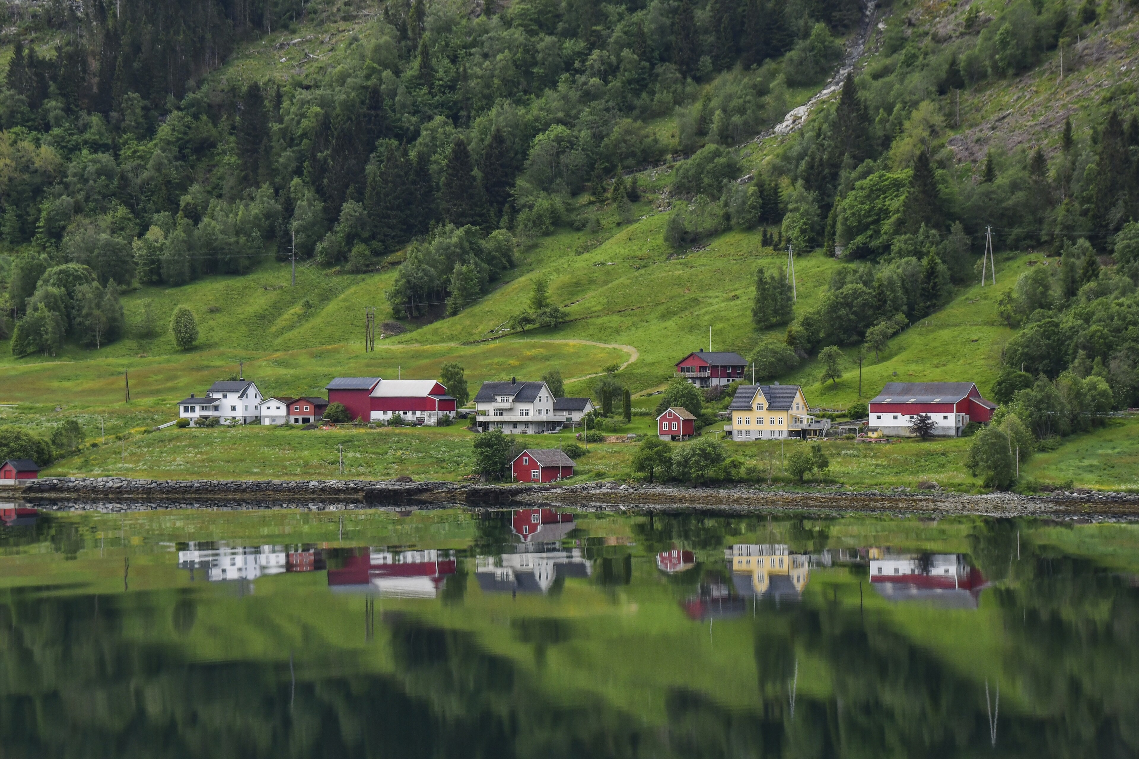 Nordfjordeid