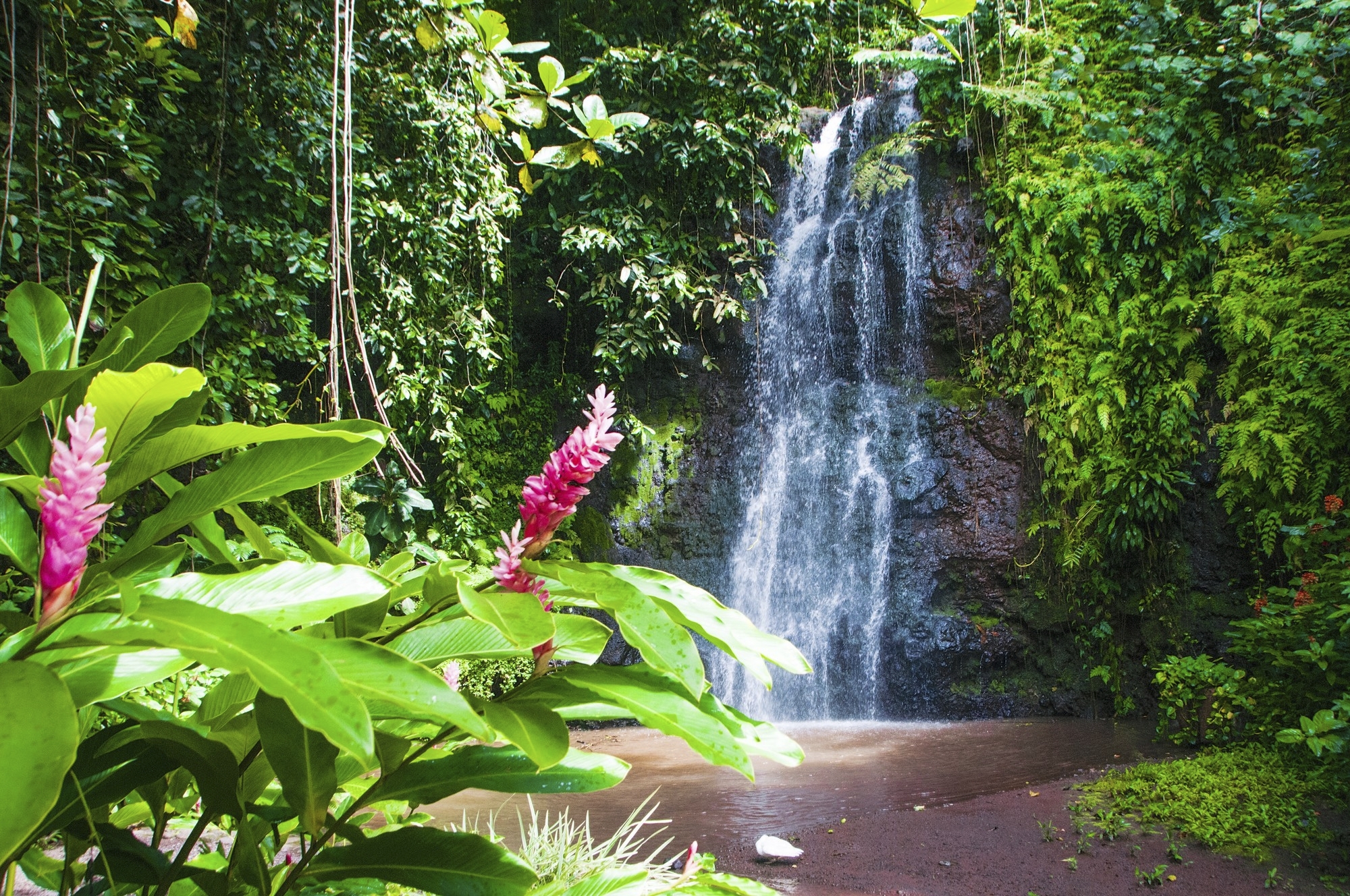 phx krainz rs17281 franzoesisch polynesien papeete wasserfall regenwald 2019 01 28 eni 0972 lprjpg 3690337