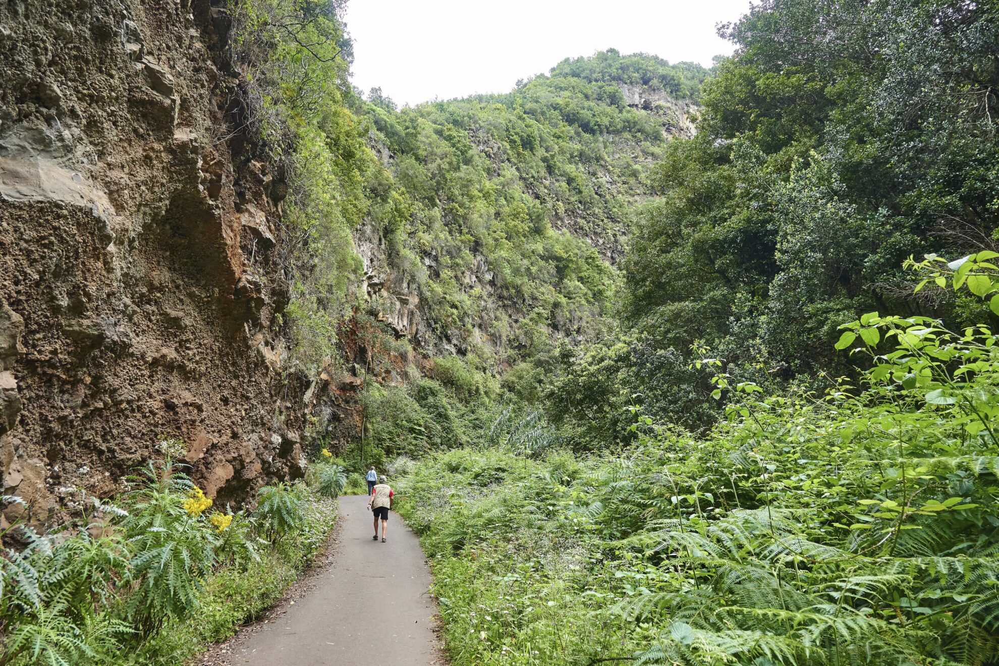 La Palma Santa Cruz