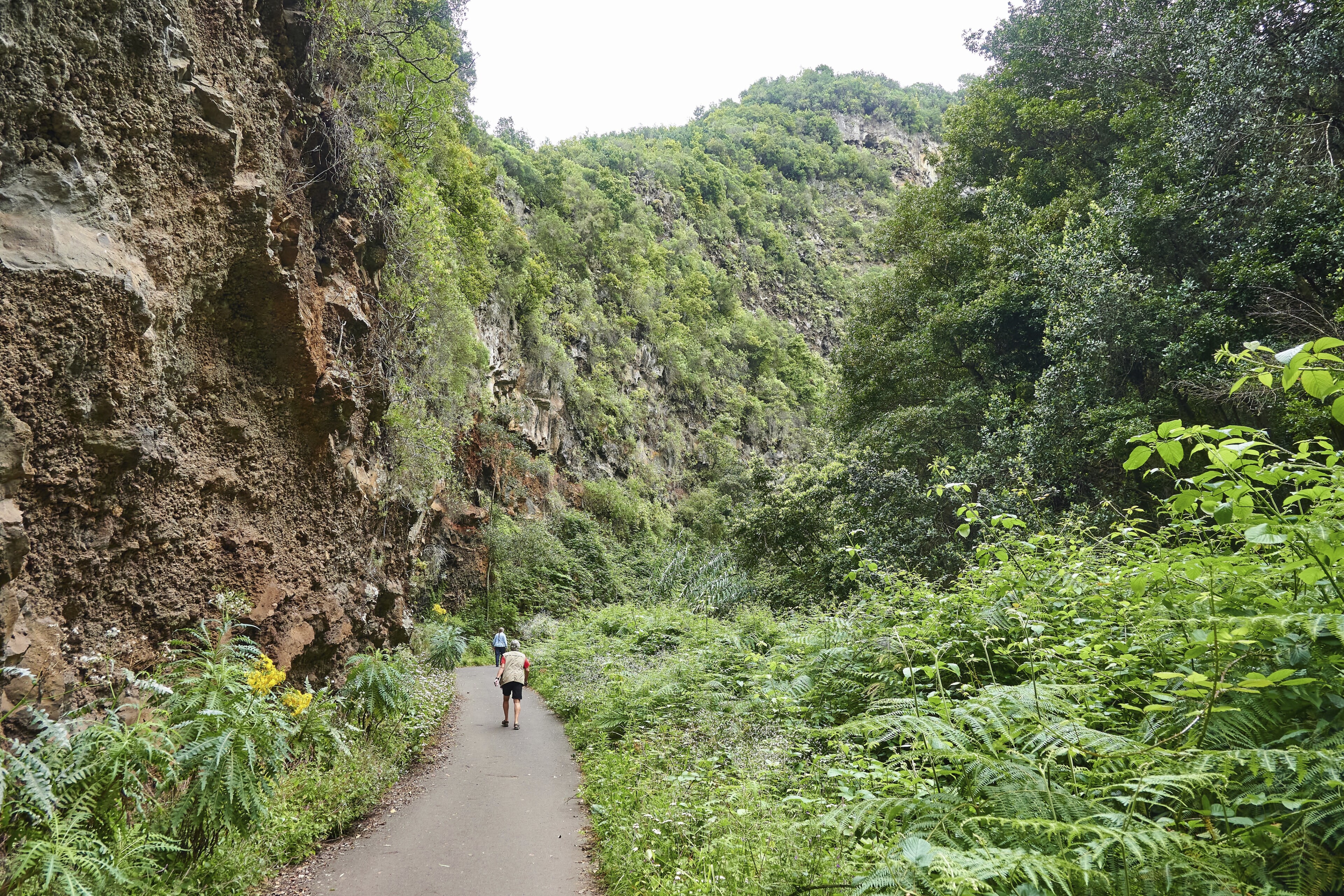 La Palma Santa Cruz