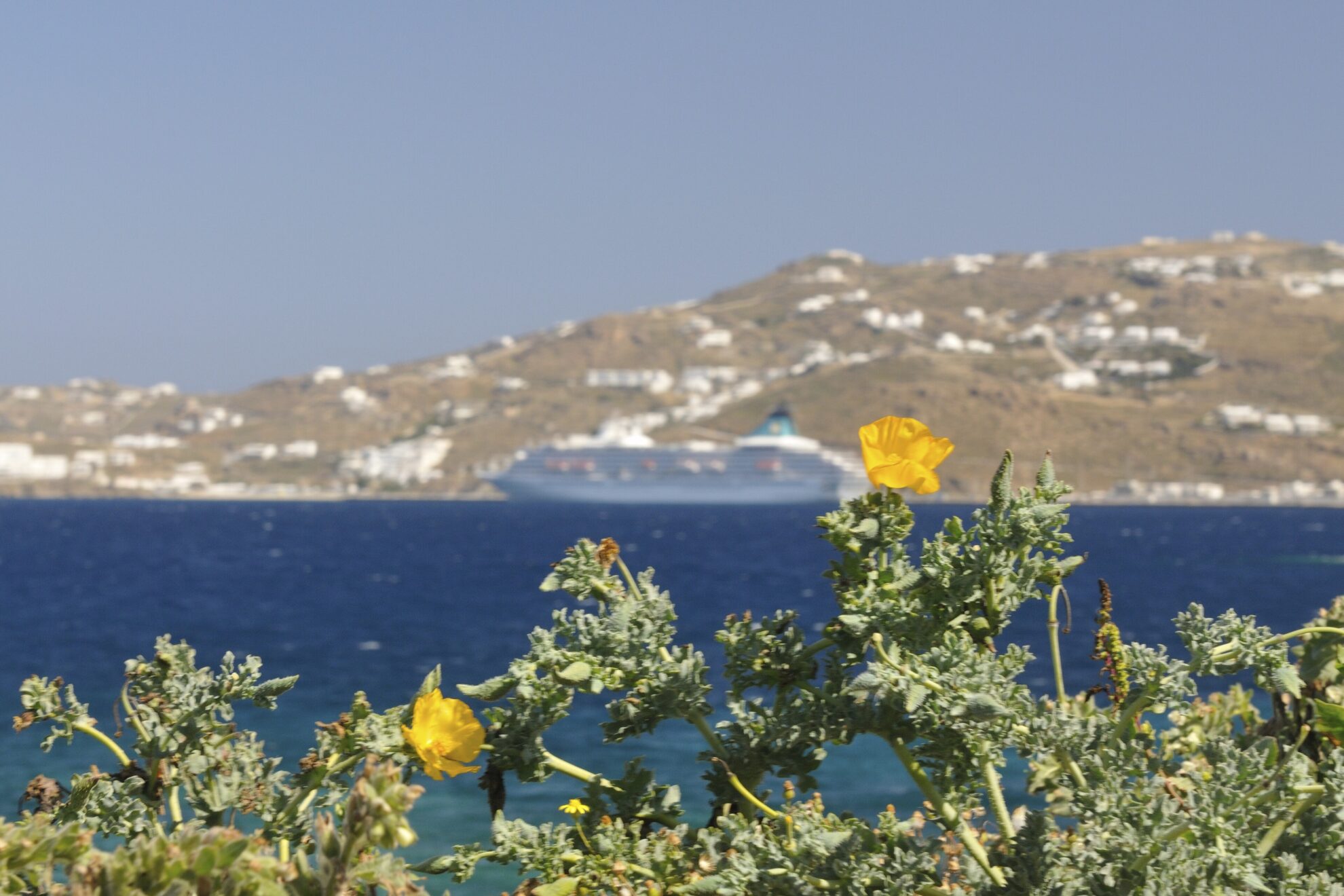 phx silvia kw griechenland mykonos kueste d3s 3447jpg 3664217