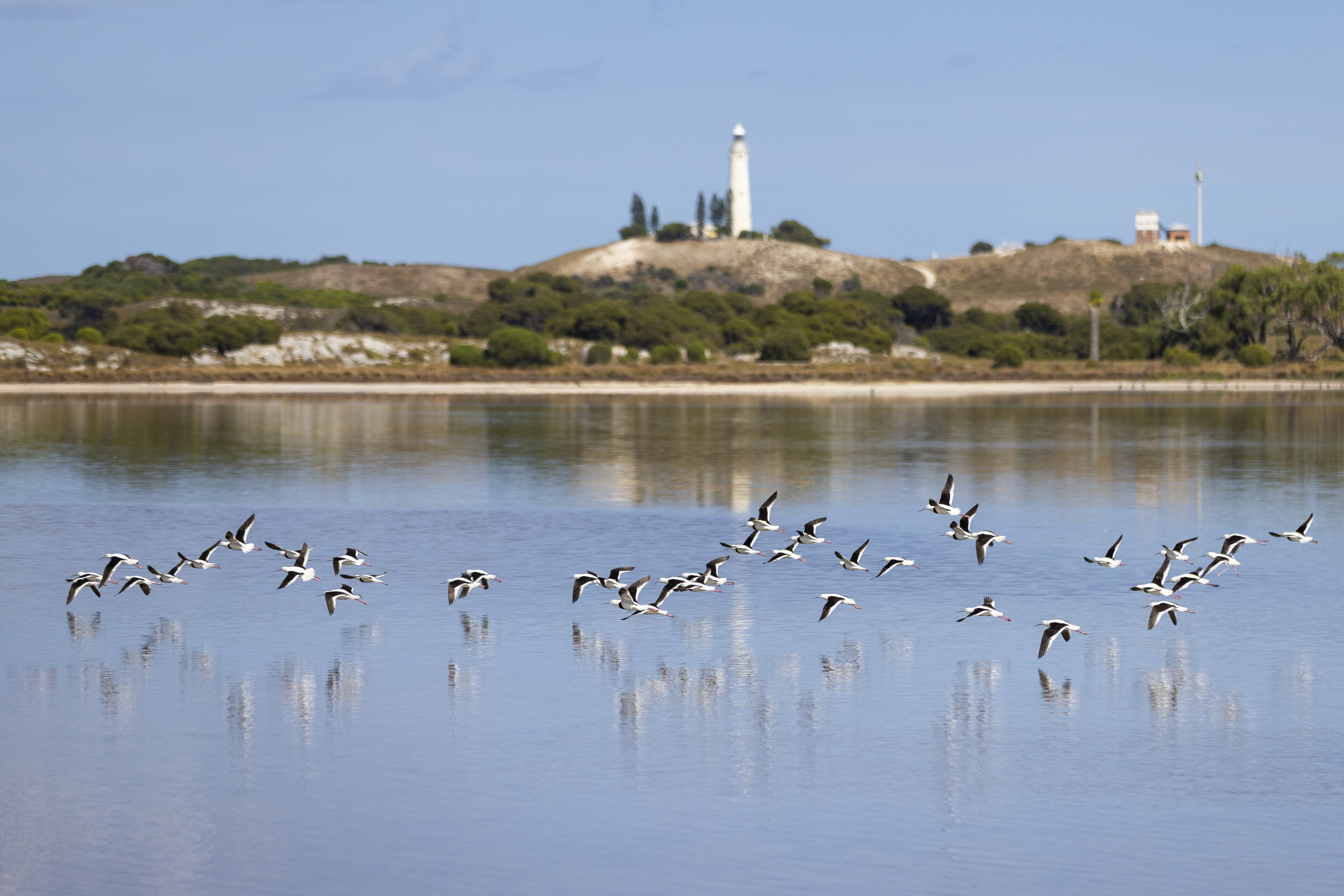 Rottnest, Fremantel