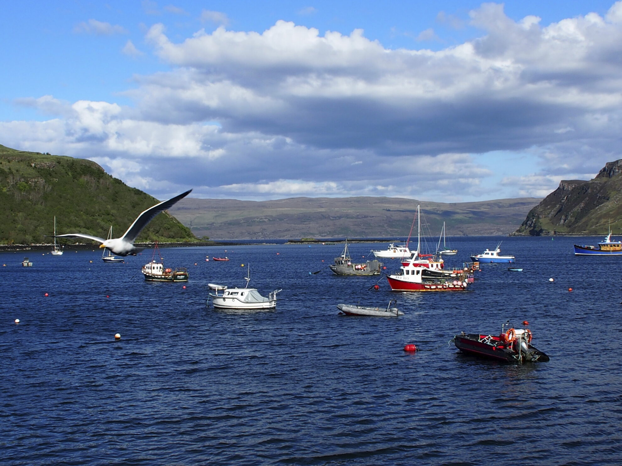phx wiebke schottland kueste boote isle of skye portree 1jpg 3664741