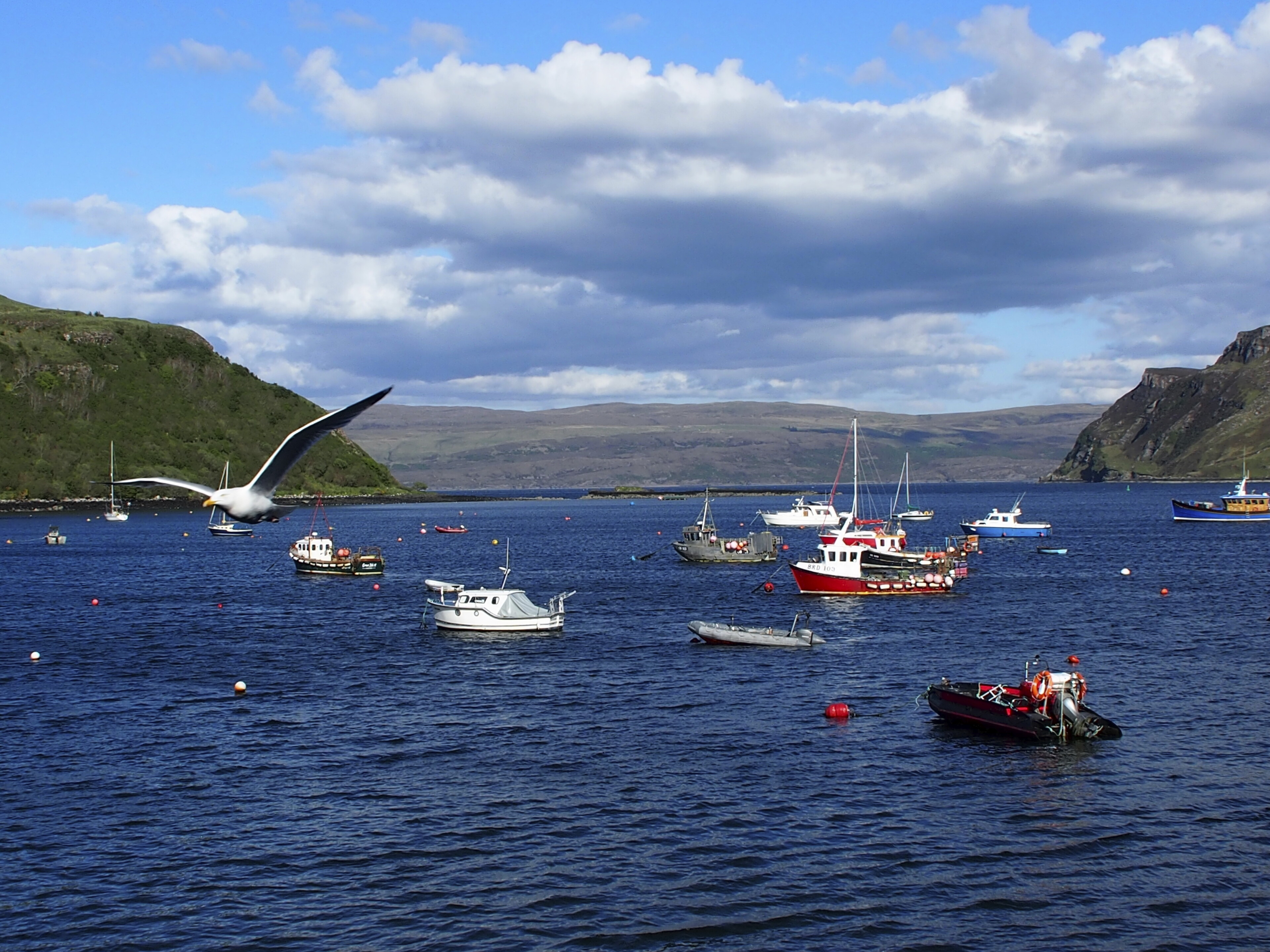 phx wiebke schottland kueste boote isle of skye portree 1jpg 3664741