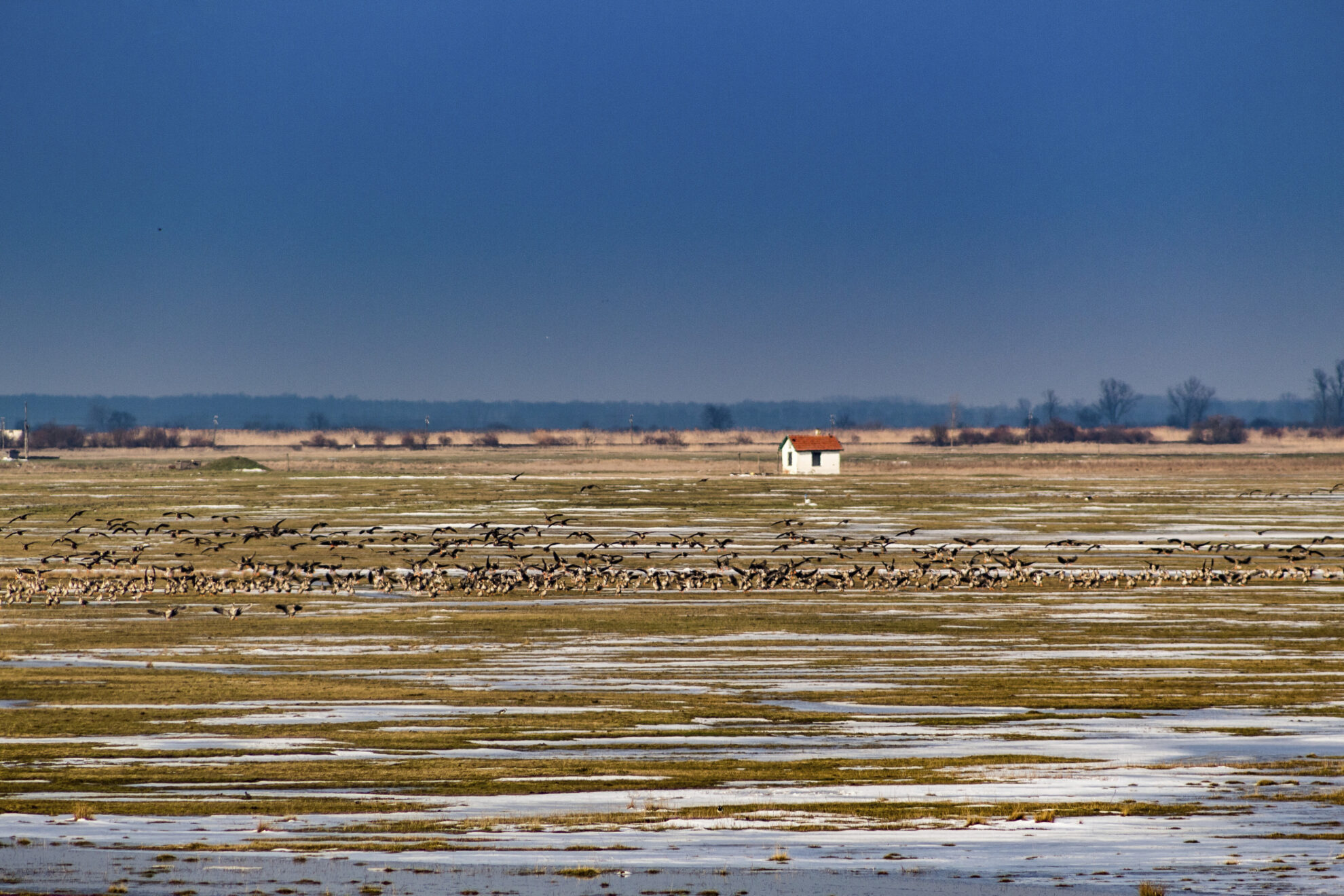 Puszta Landschaft