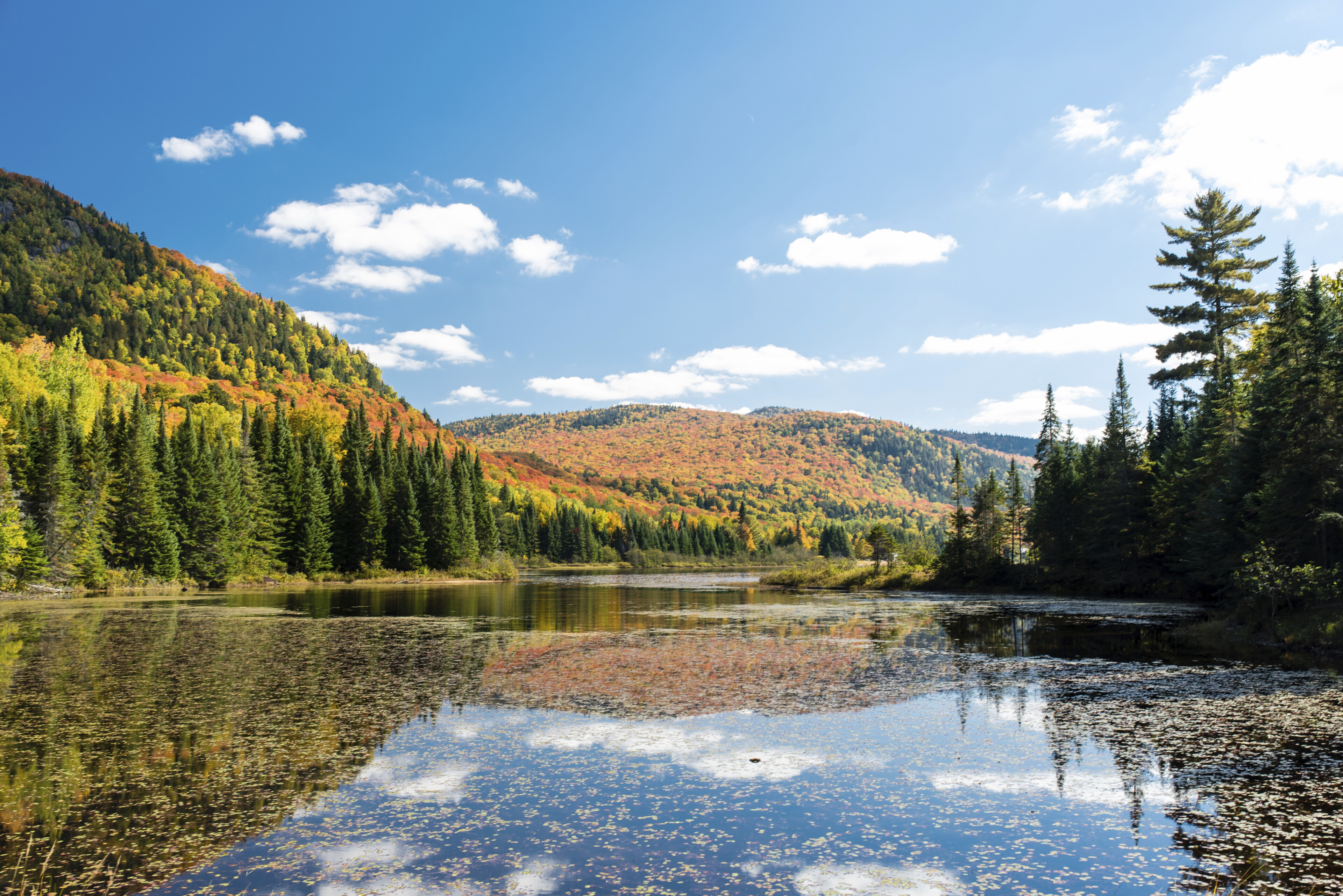 Laurentians