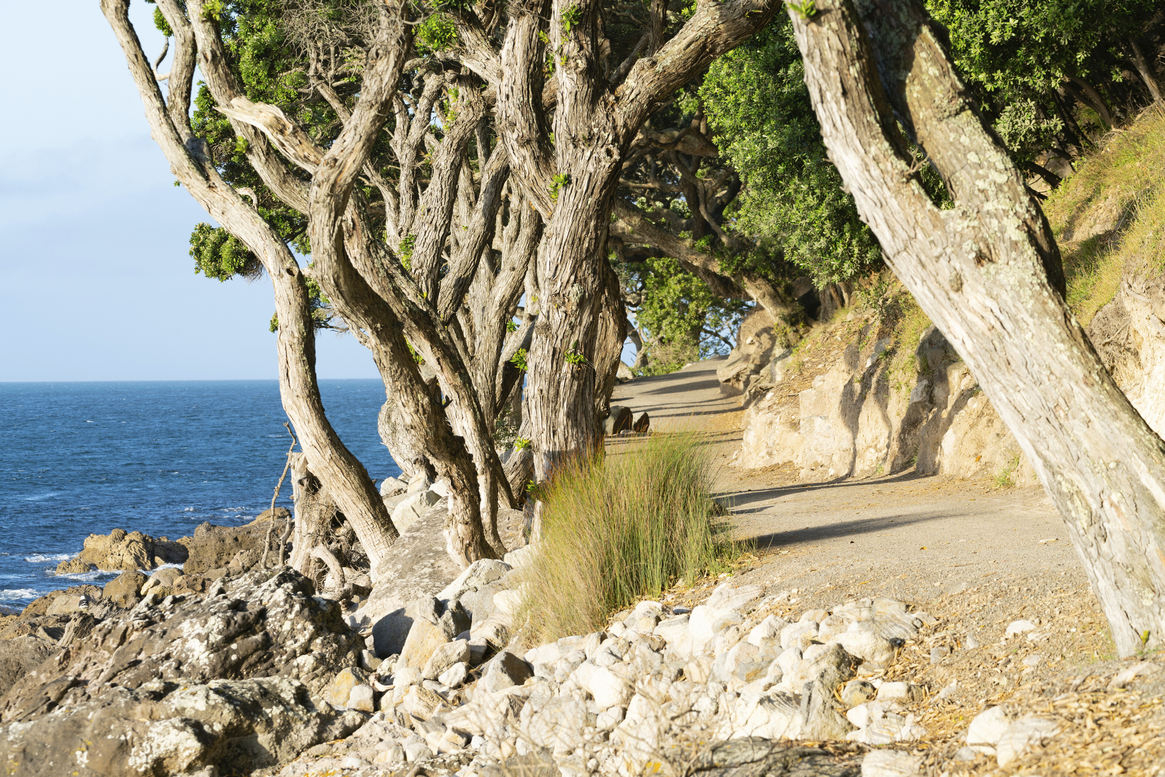 Wanderweg bei Mount Maunganui, Neuseeland