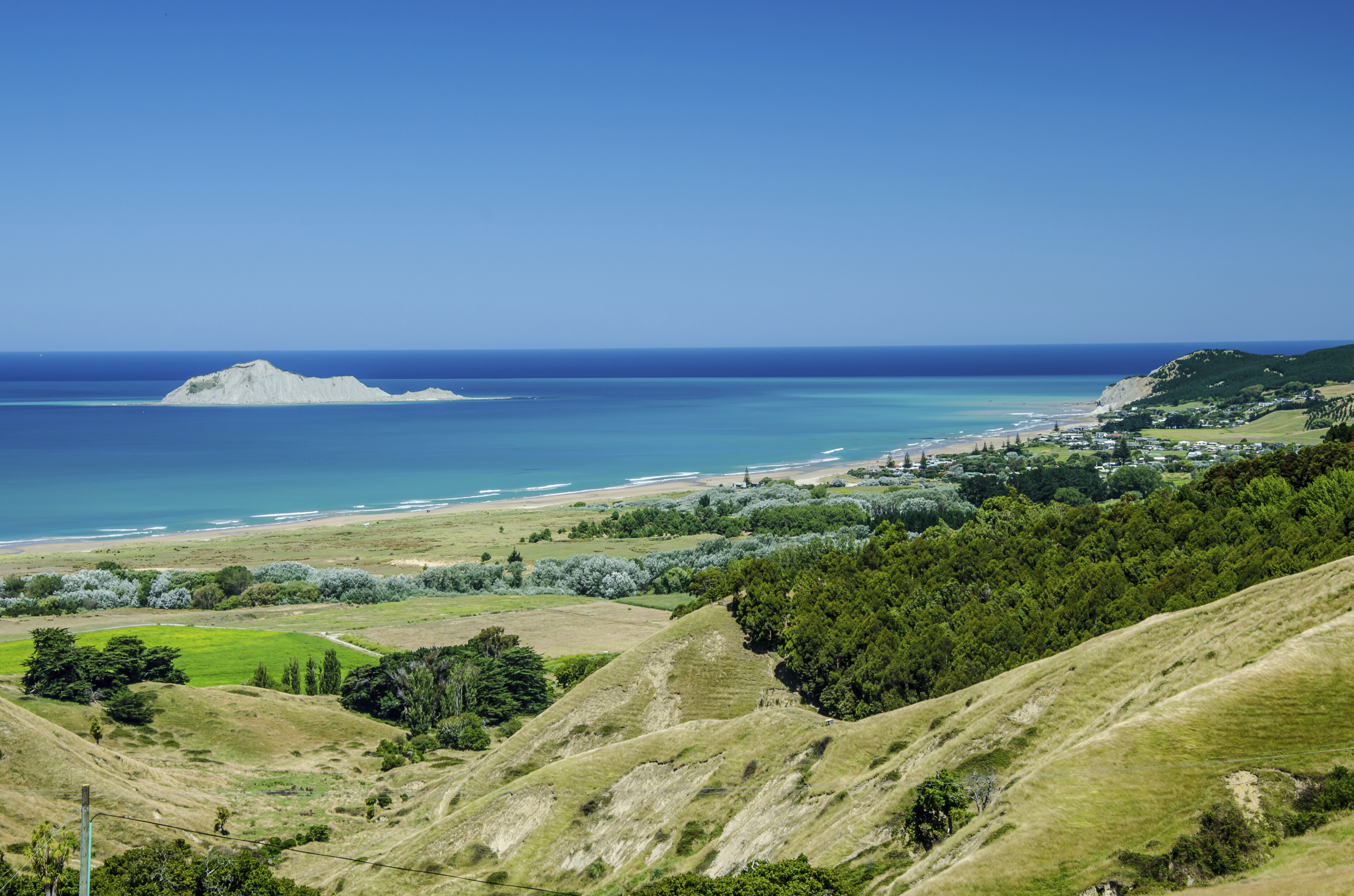 Napier