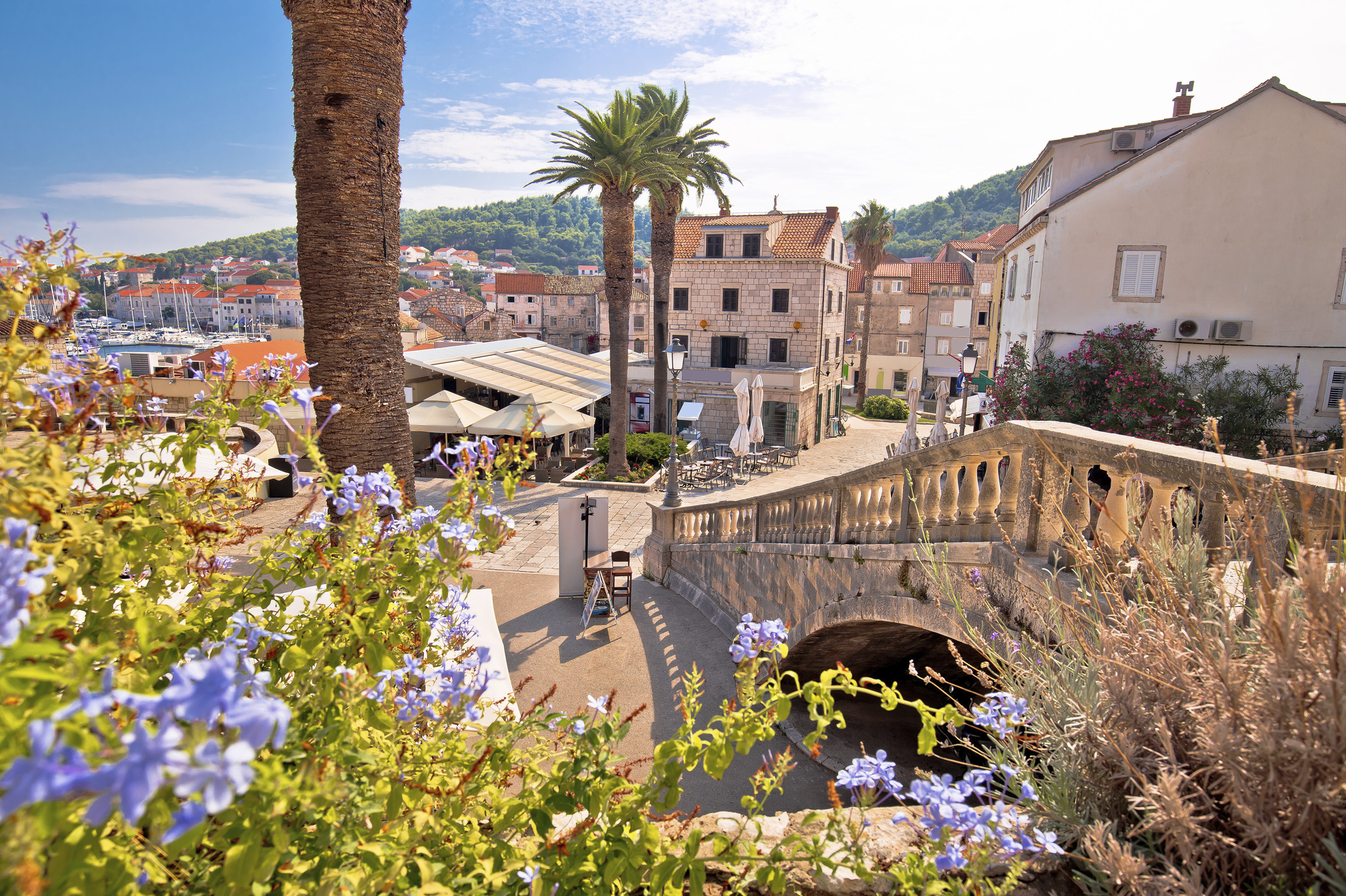 shutterstock 1575493831 kroatien korcula stadt pflanzen palmen blumenjpg 3730126