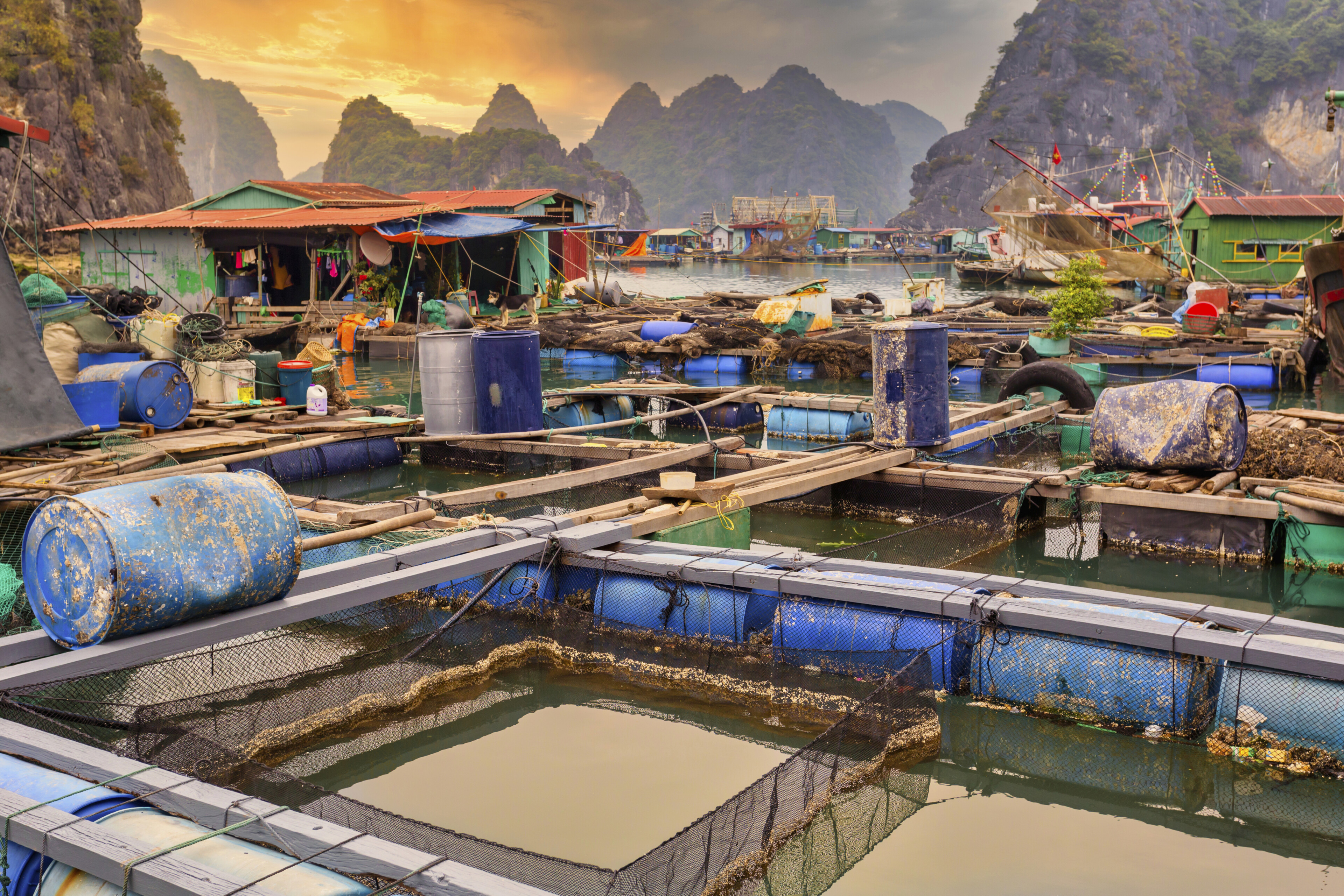 Halong Bucht
