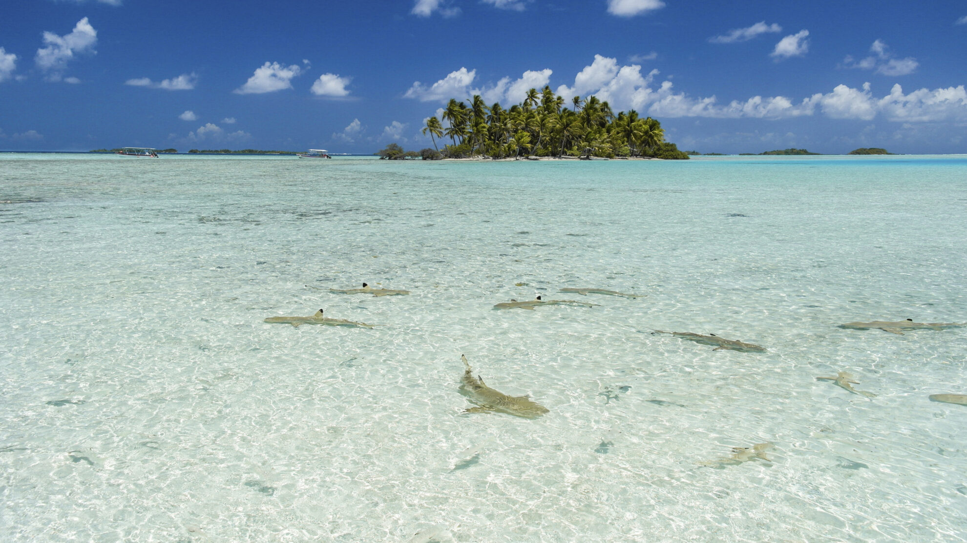 Rangiroa