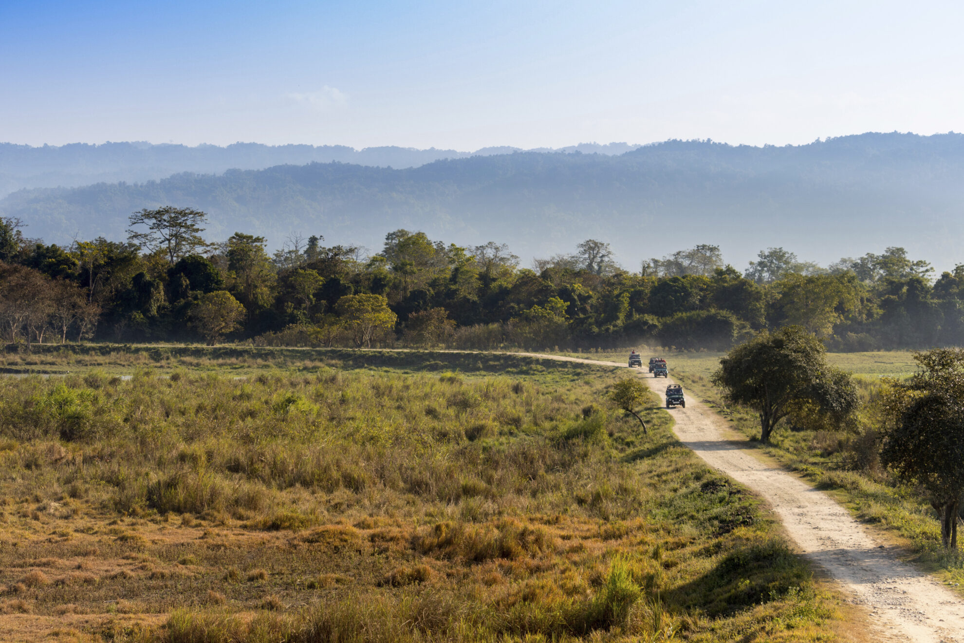 Kaziranga Nationalpark