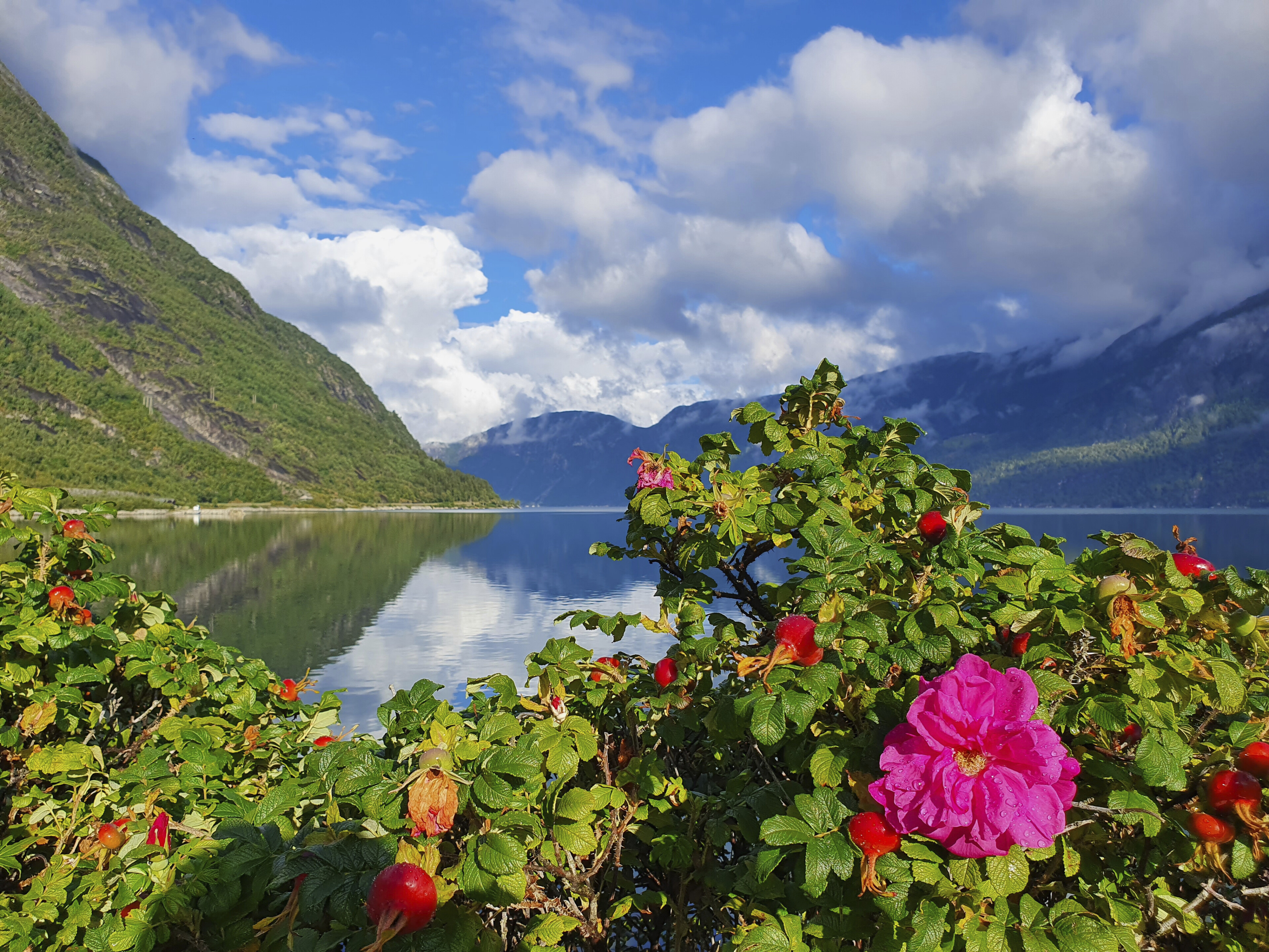 Blick auf den Eidfjord