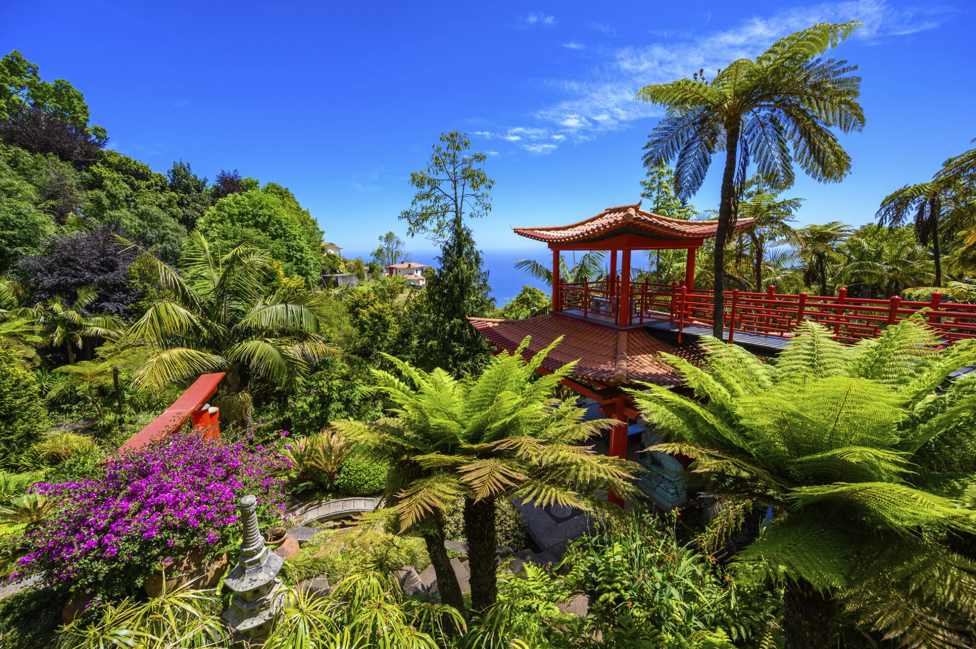 shutterstock 1934496146 portugal madeira monte palace tropischer garten pflanzenjpg 3729858